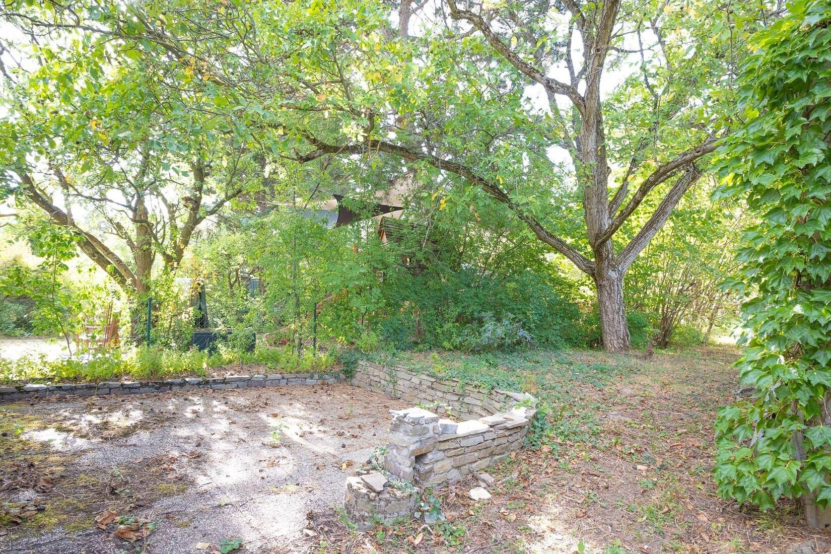 Naturbelassener Gartenbereich mit Bäumen, Sträuchern und einer kleinen Steinmauer.