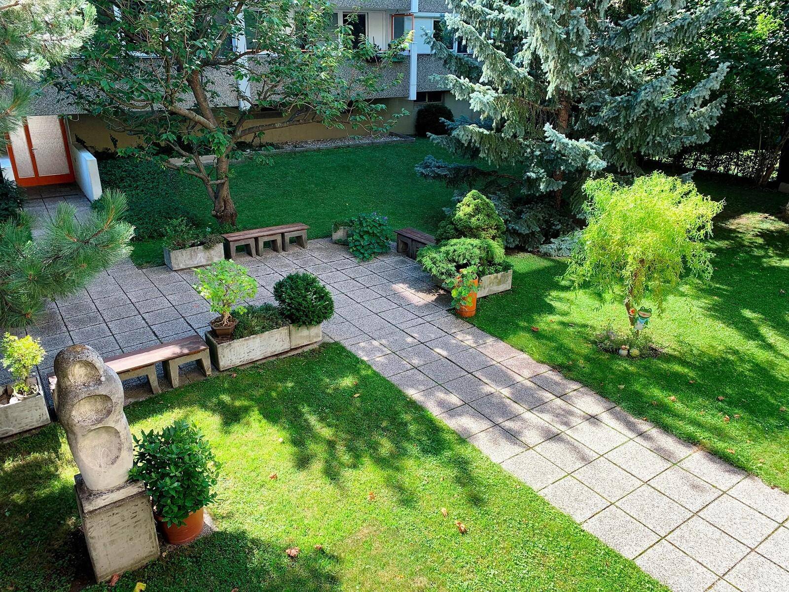 Grüner Gemeinschaftsgarten