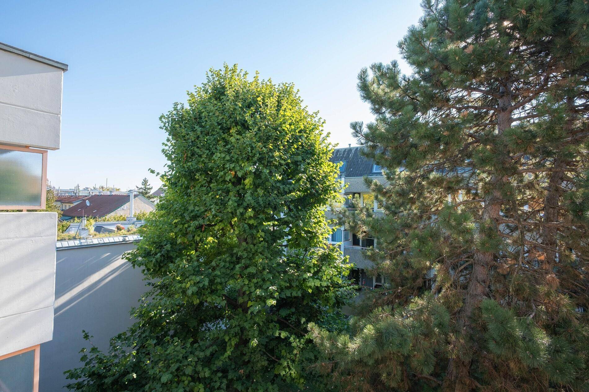 Innenanlage