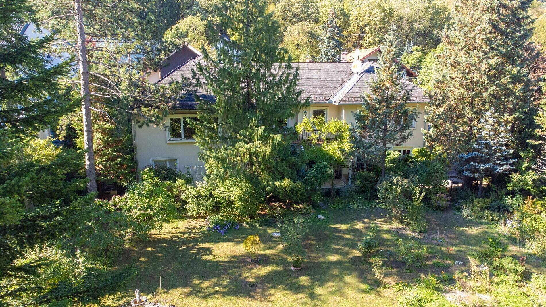 Ansicht des Hauses von hinten mit großem Garten, altem Baumbestand und viel Grün.