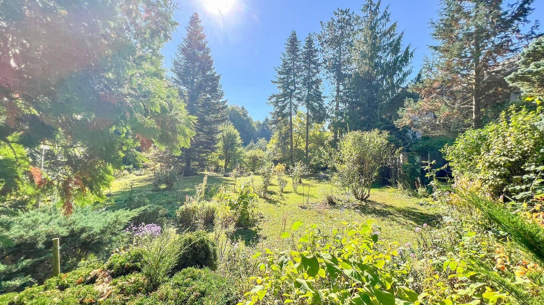 Weitläufiger Garten mit Rasenflächen, Bäumen und Sträuchern unter strahlendem Sonnenschein.