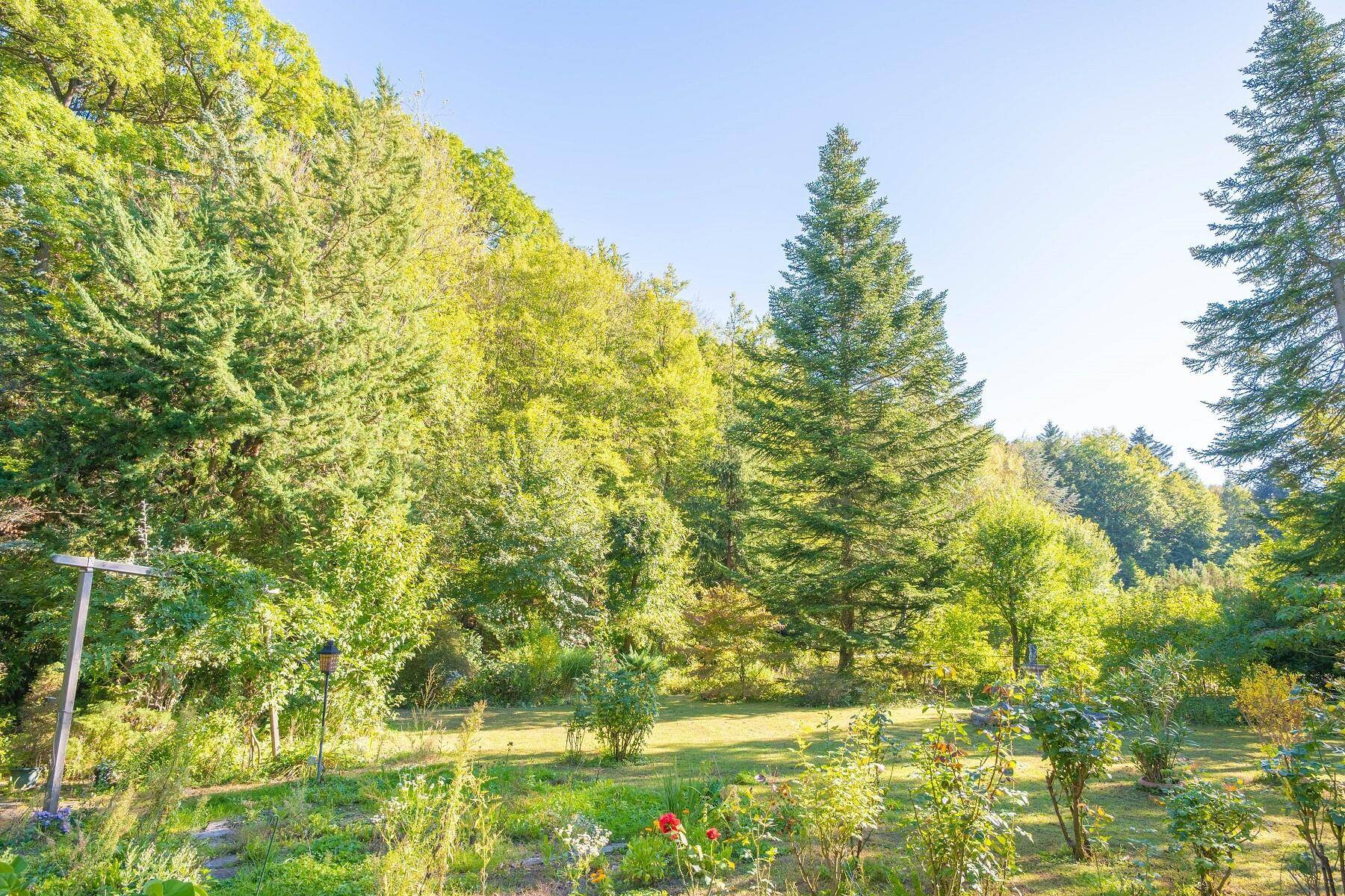 Weitläufiger Garten mit altem Baumbestand und üppiger Vegetation unter blauem Himmel.