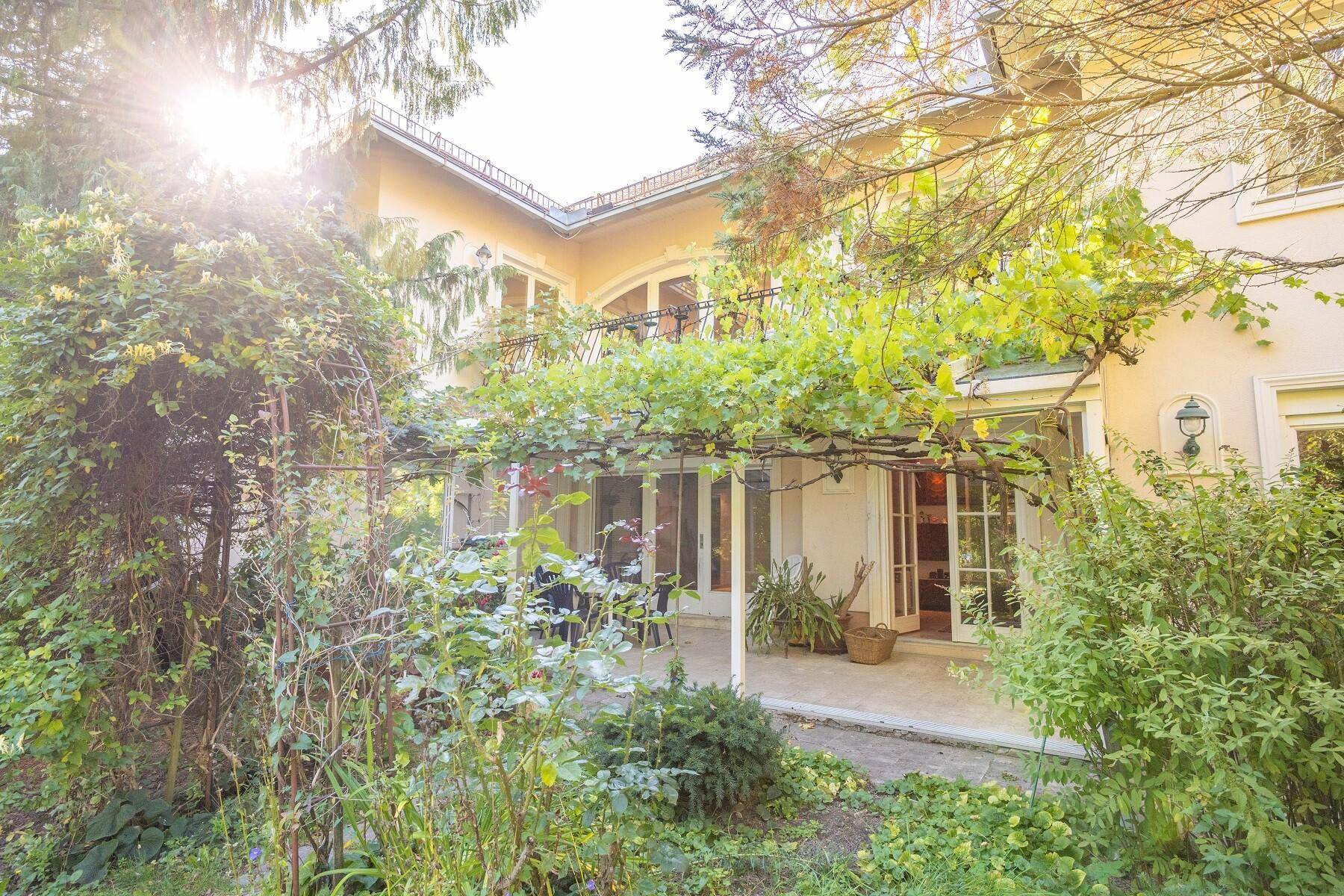 Überdachte Terrasse mit Weinreben und Zugang zum Garten, ideal für entspannte Stunden.