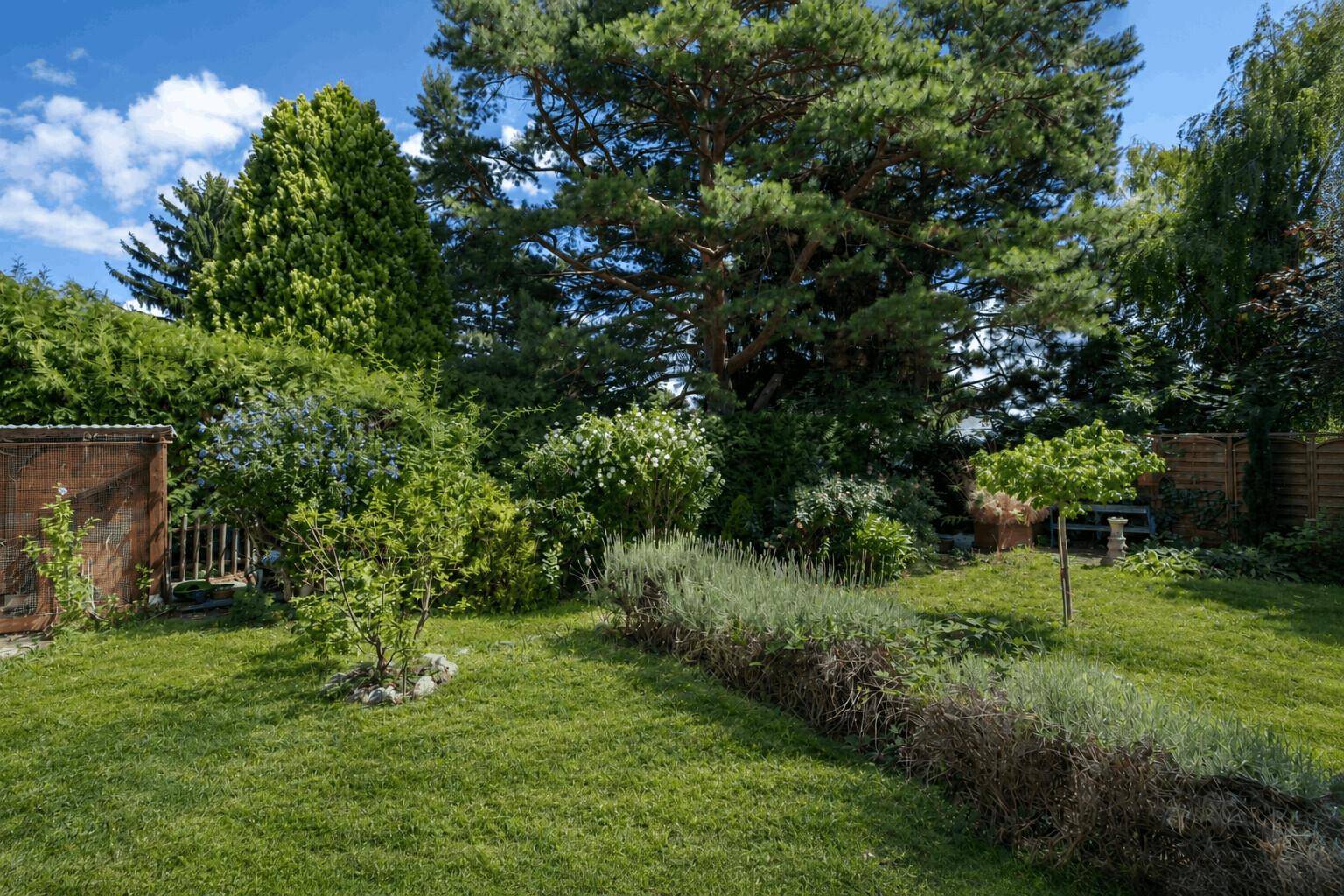 Gepflegter grüner Garten mit Rasenflächen, Sträuchern und hohen Bäumen unter blauem Himmel.