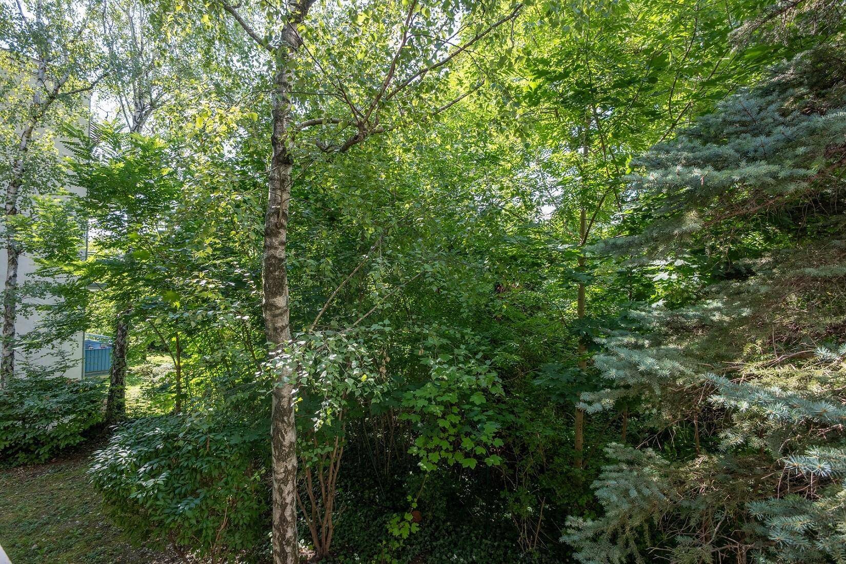 Aussicht ins Grüne
