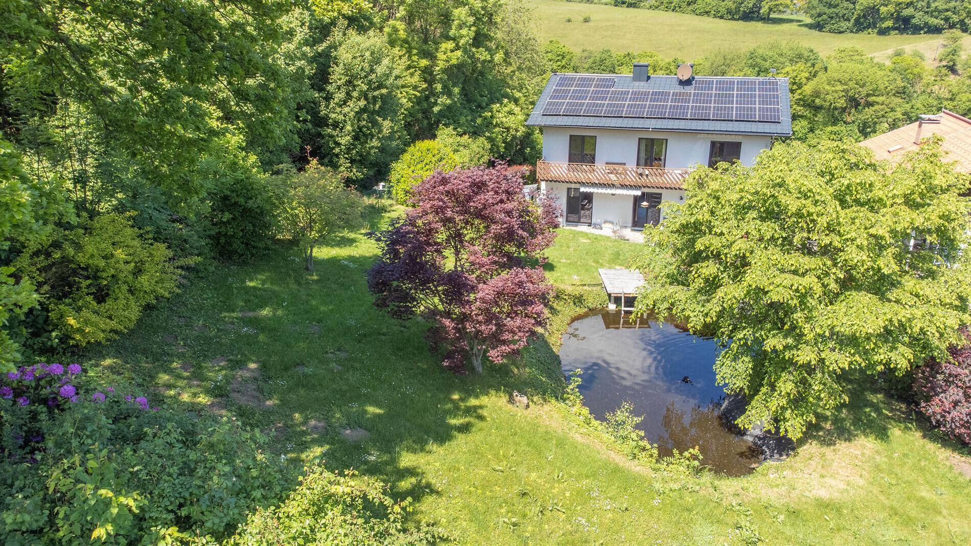 Modernisiertes, energieeffizientes Haus, mit viel Platz für Büro/Praxis – Breitenfurt - Ansicht 3