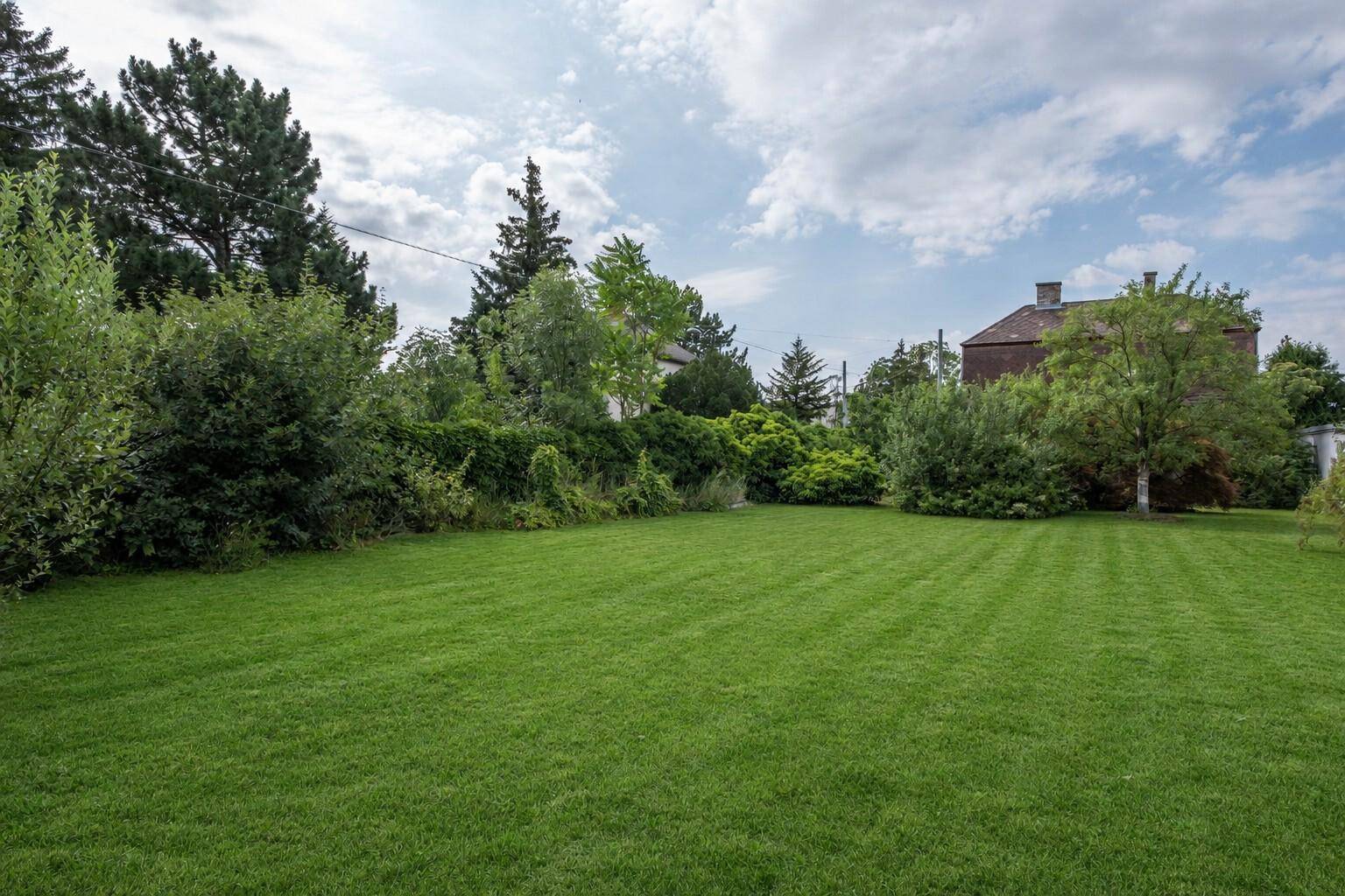 Weitläufiger grüner Garten mit gepflegtem Rasen, umgeben von üppiger Vegetation und Bäumen.