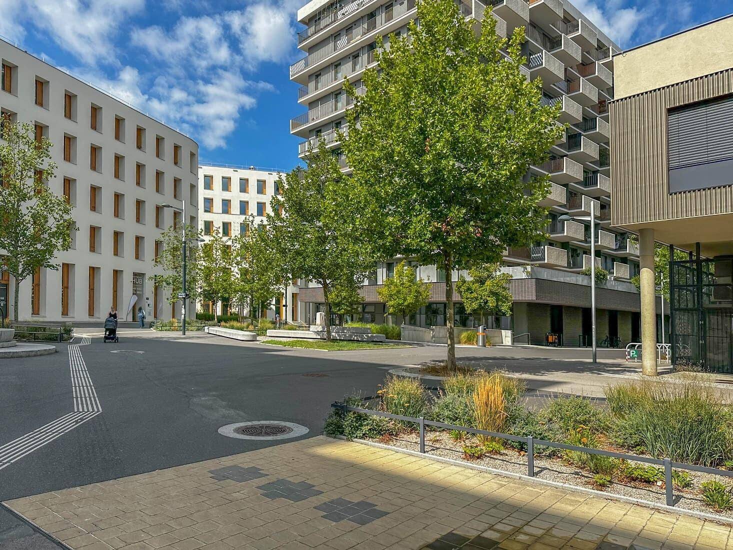 Moderne Wohnanlage mit mehreren Gebäuden, begrünten Außenbereichen und gepflasterten Wegen.
