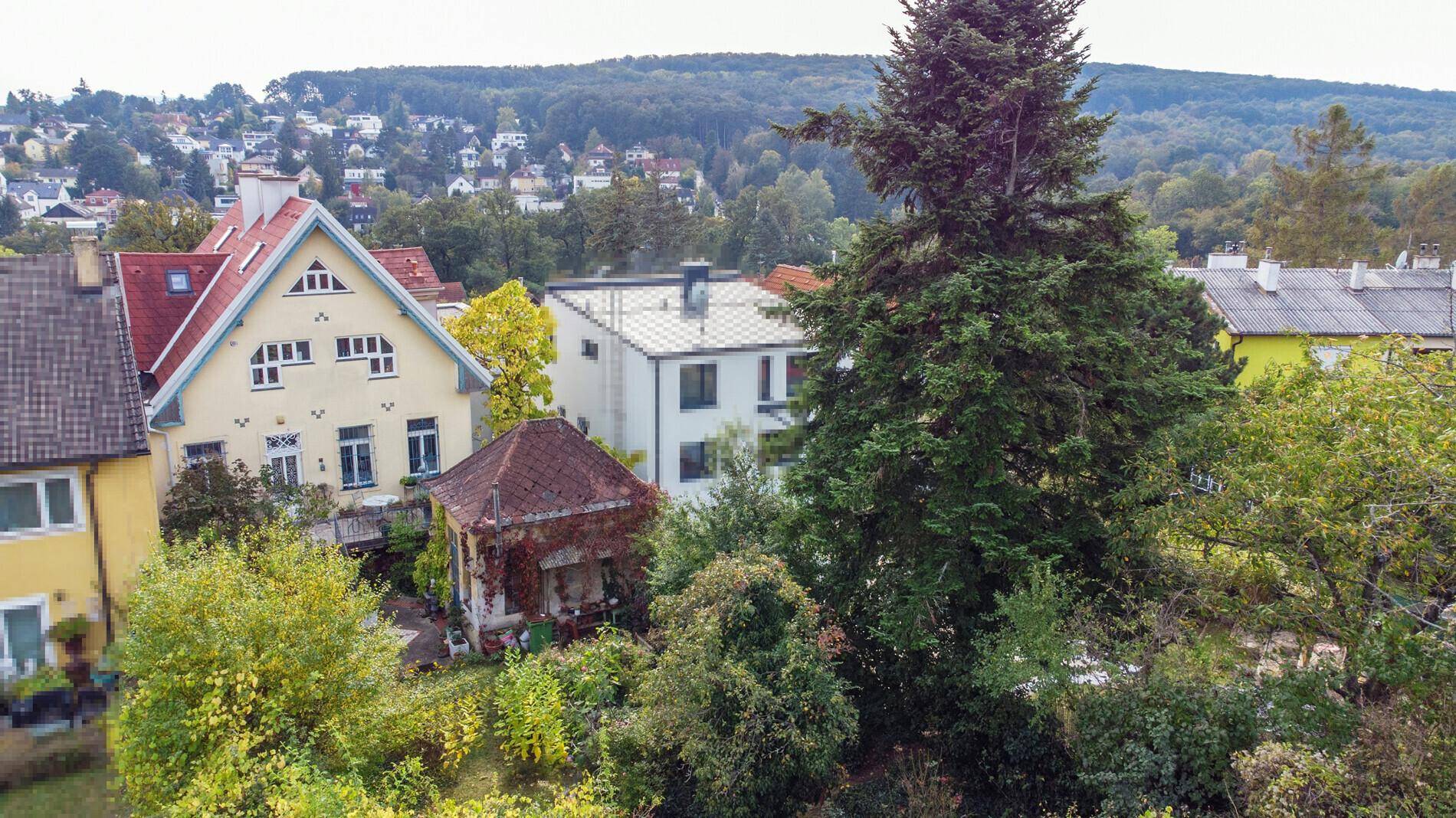 Panoramablick auf die umliegende Wohngegend mit vielen Bäumen und Häusern.