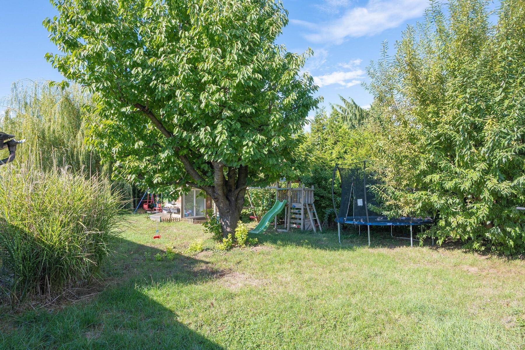 Großer Garten mit altem Baumbestand, Spielplatz und Trampolin für Kinder.