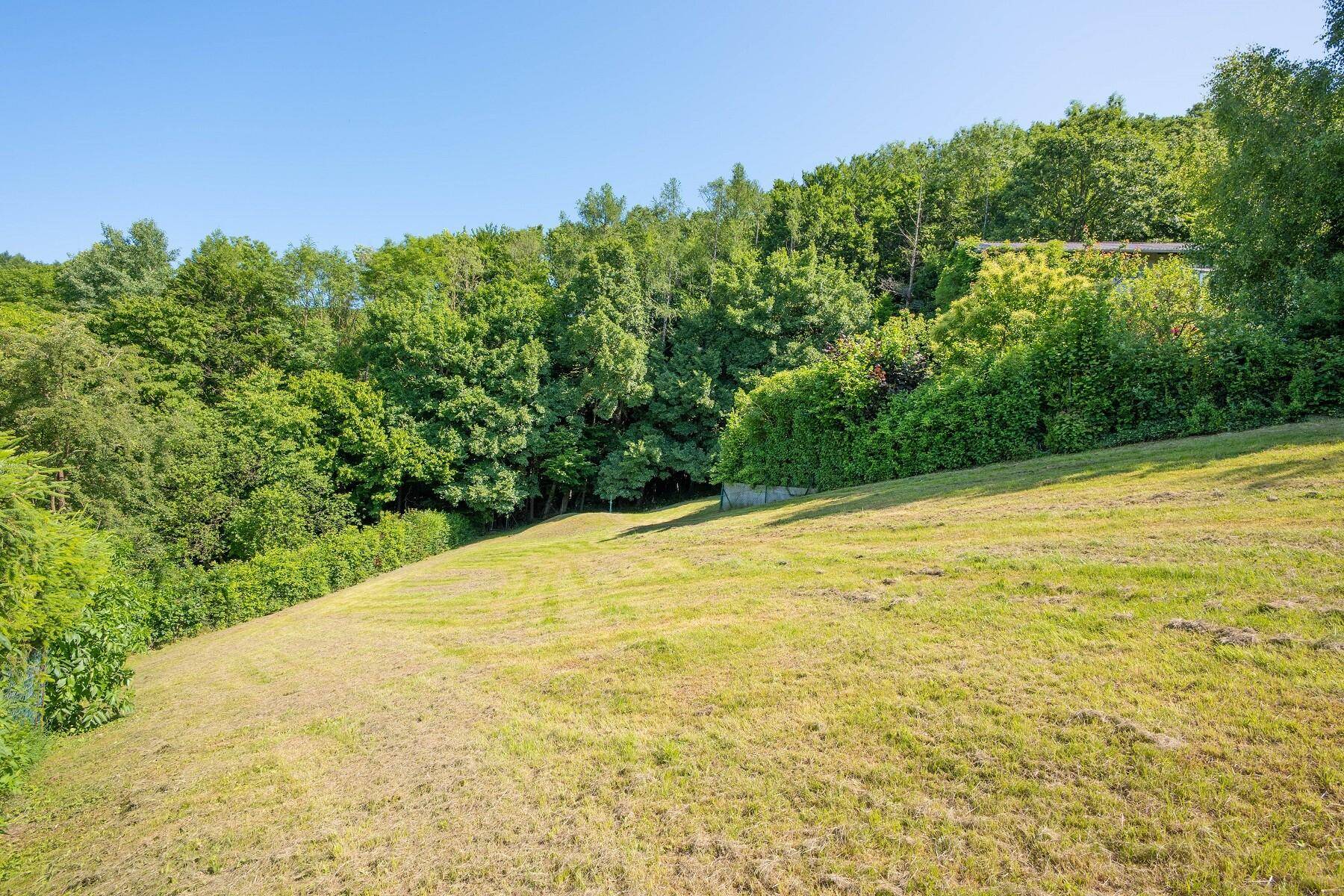 Aussicht auf den Wald