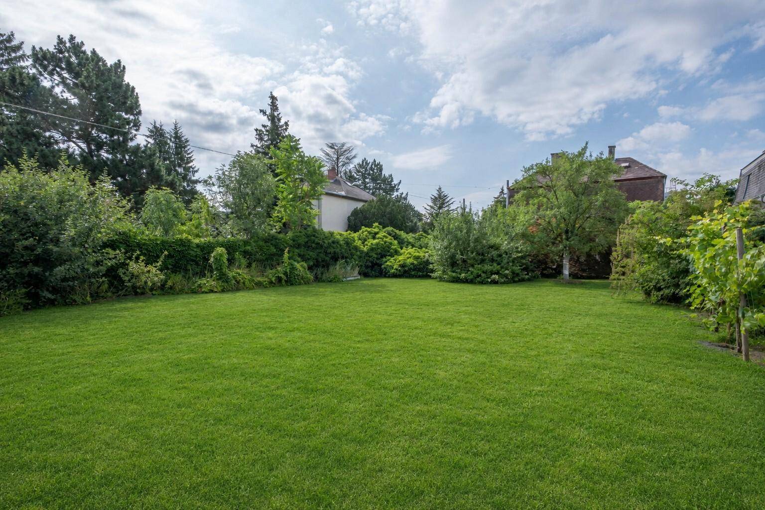 Weitläufiger grüner Garten mit gepflegtem Rasen, umgeben von üppiger Vegetation und Bäumen.