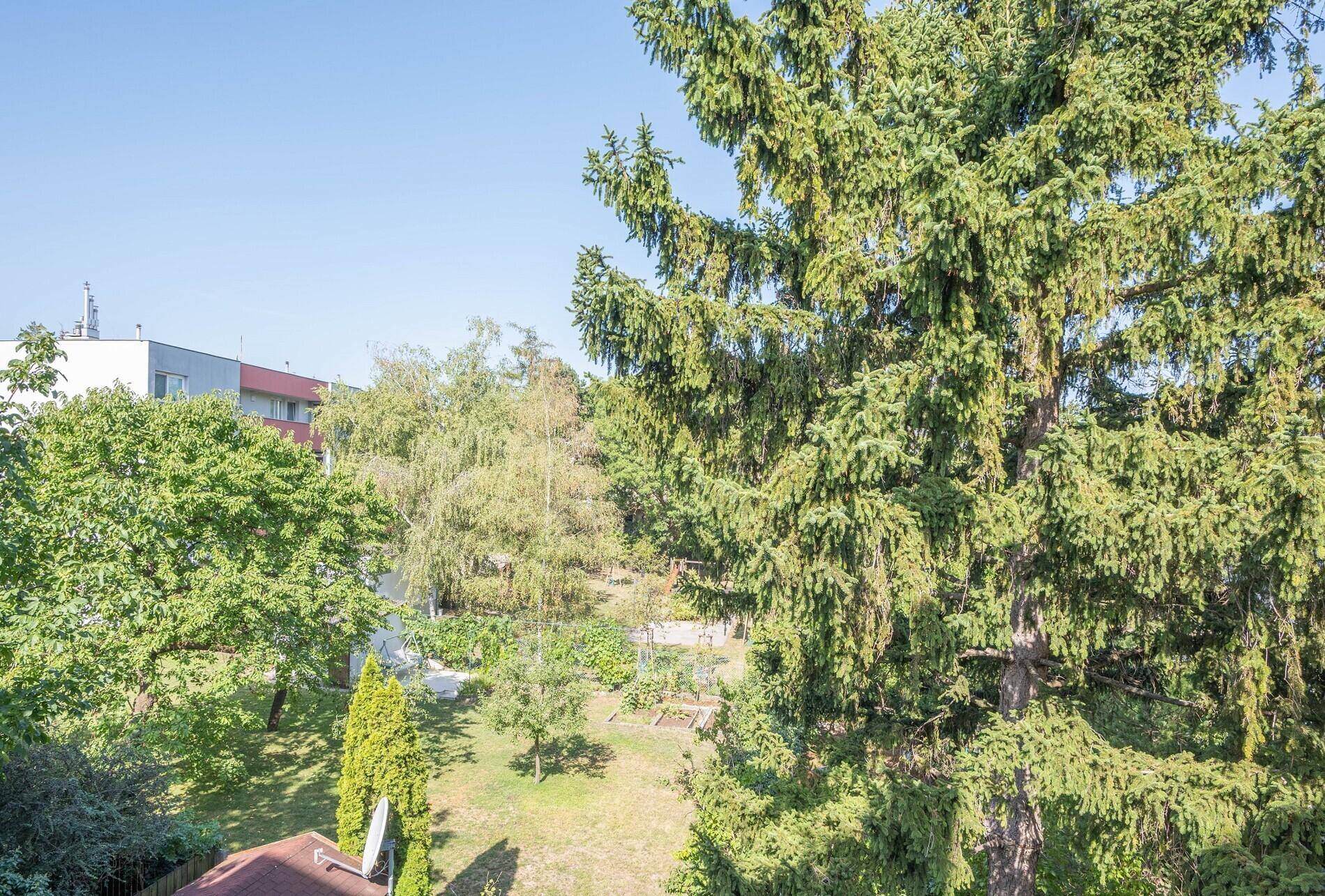 Ausblick vom Balkon