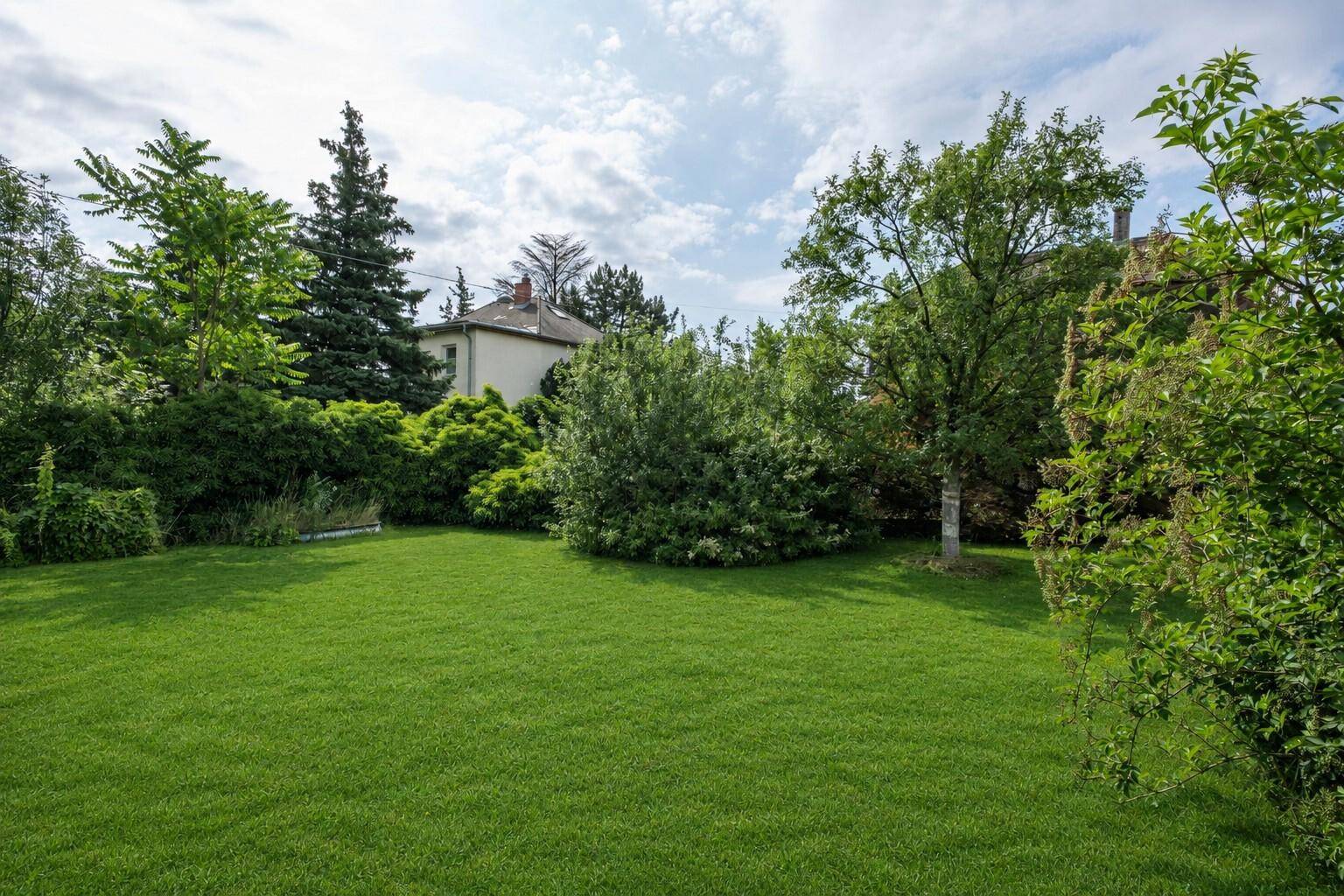 Heller, weitläufiger Garten mit einem zentralen Baum und gepflegtem Rasen, umgeben von grünen Büschen.