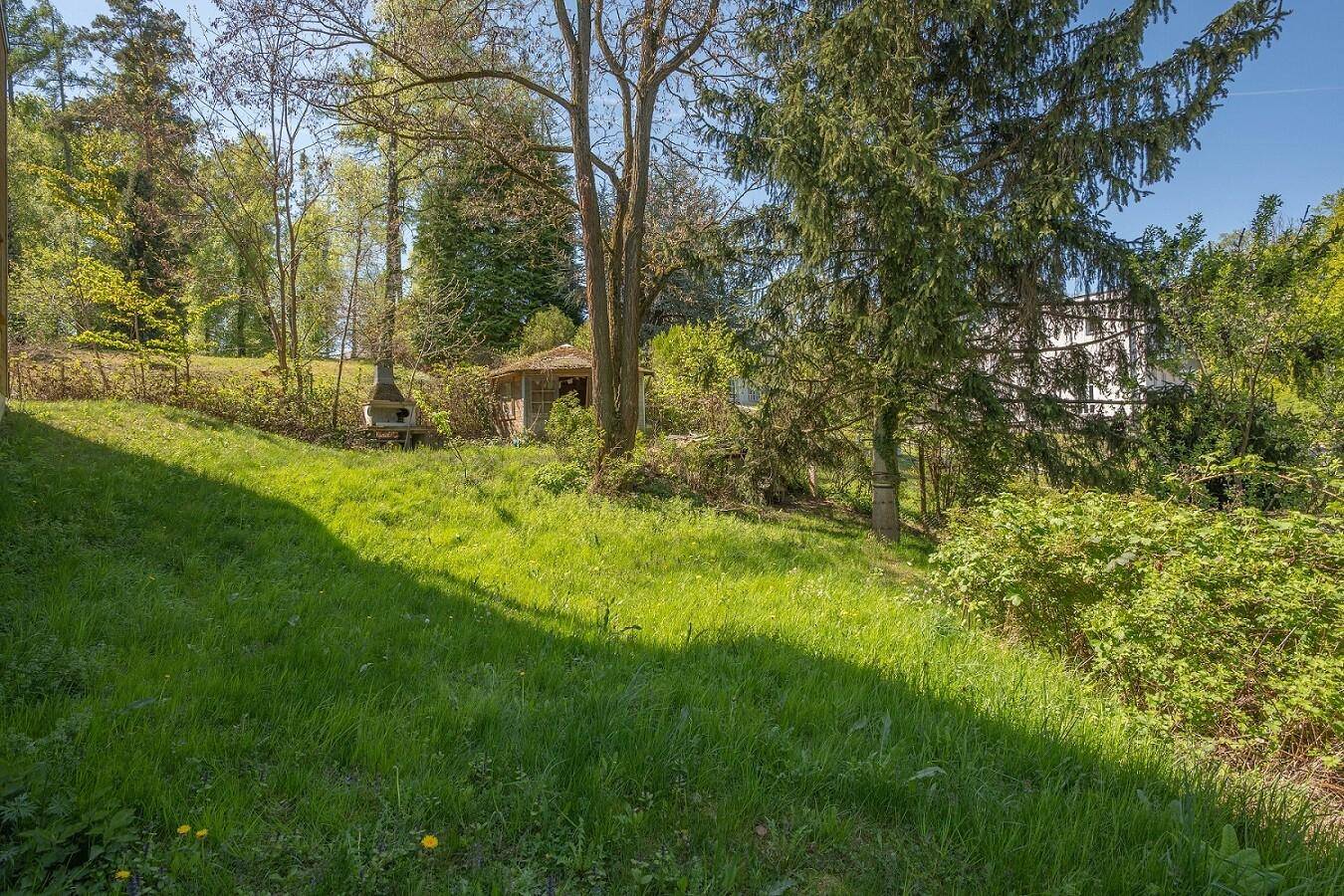 Großer Gartenbereich mit Rasen, Bäumen und einem Grillplatz im Hintergrund.