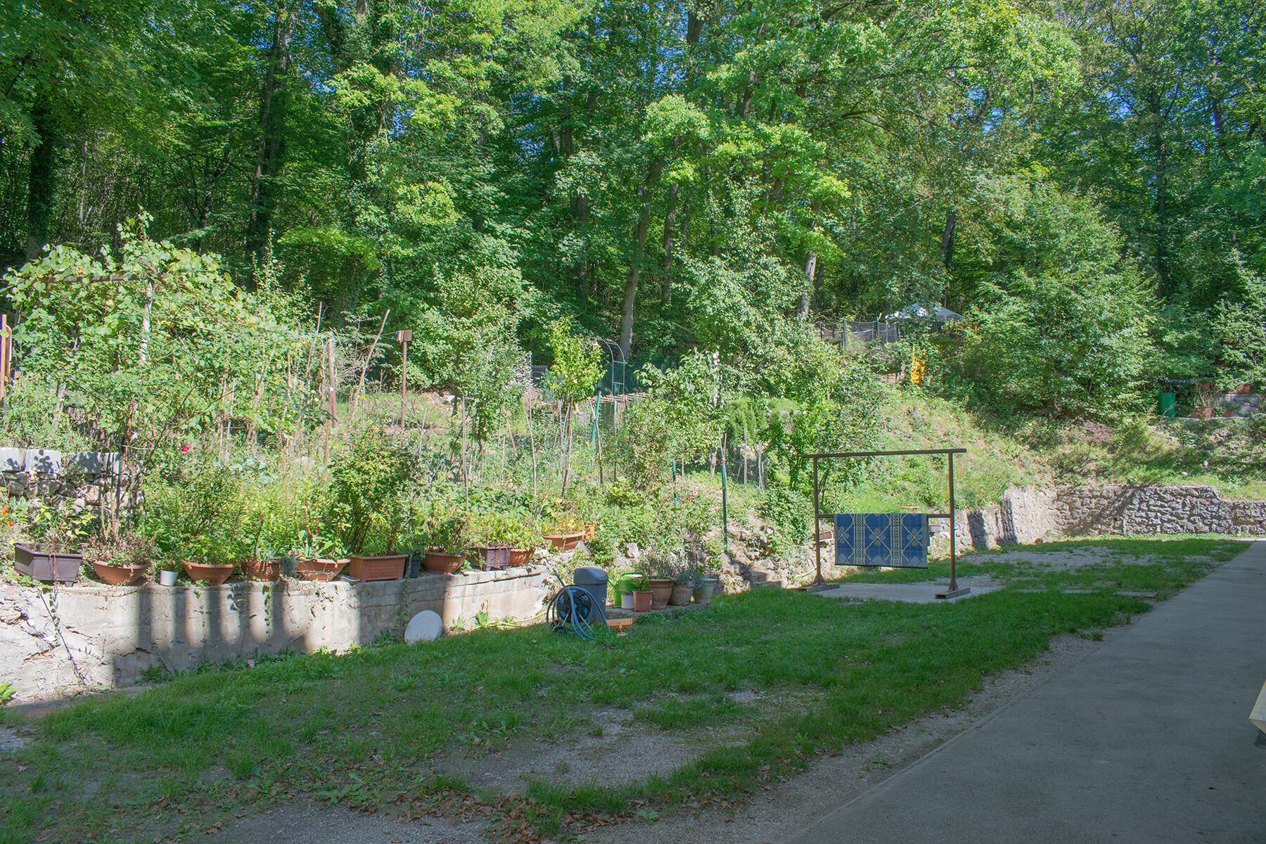 Weitläufiger Garten mit viel Grün, Bäumen und einem Bereich für Pflanzen.
