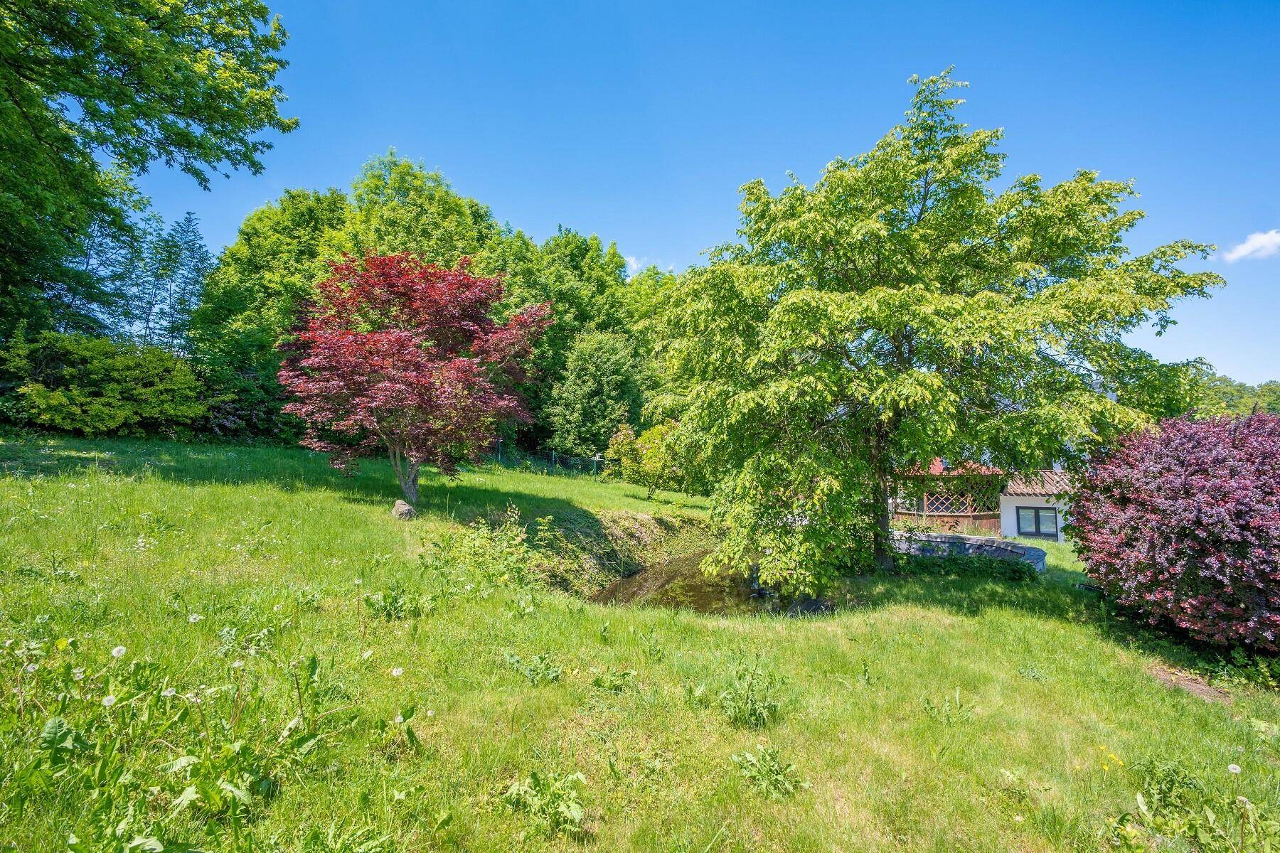 Weitläufiger Garten mit Rasenflächen, Bäumen und einem kleinen Teich in ländlicher Umgebung.