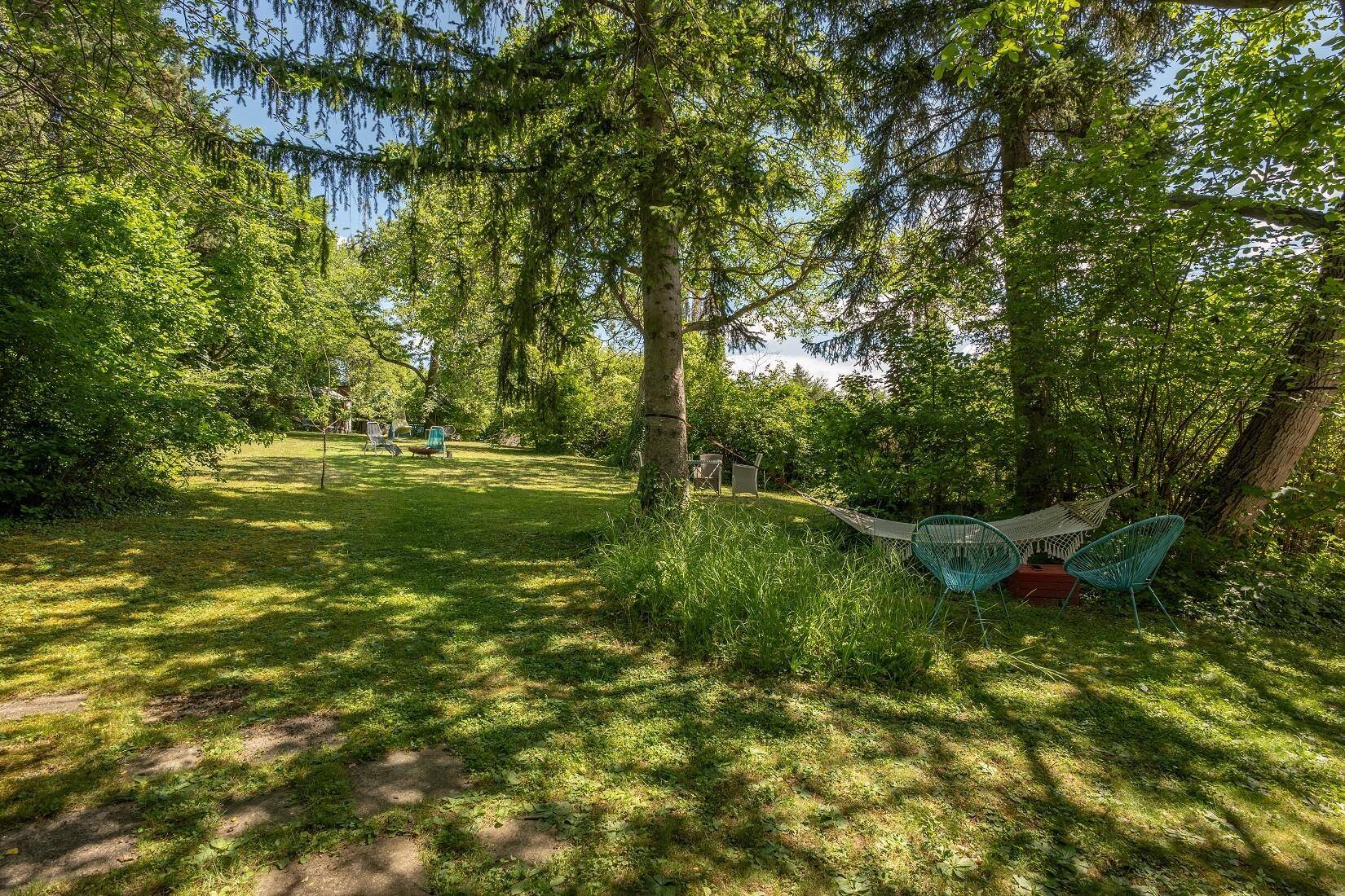 Ruhiger Gartenbereich mit schattenspendenden Bäumen, einer Hängematte und bequemen Sitzgelegenheiten.
