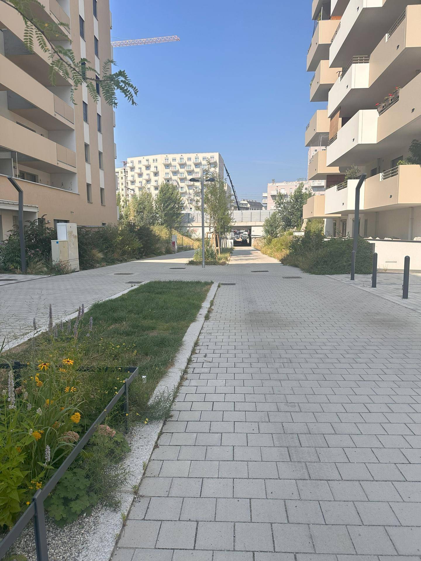 Gepflasterter Fußweg zwischen zwei modernen Wohngebäuden, gesäumt von kleinen Grünflächen und Bäumen.