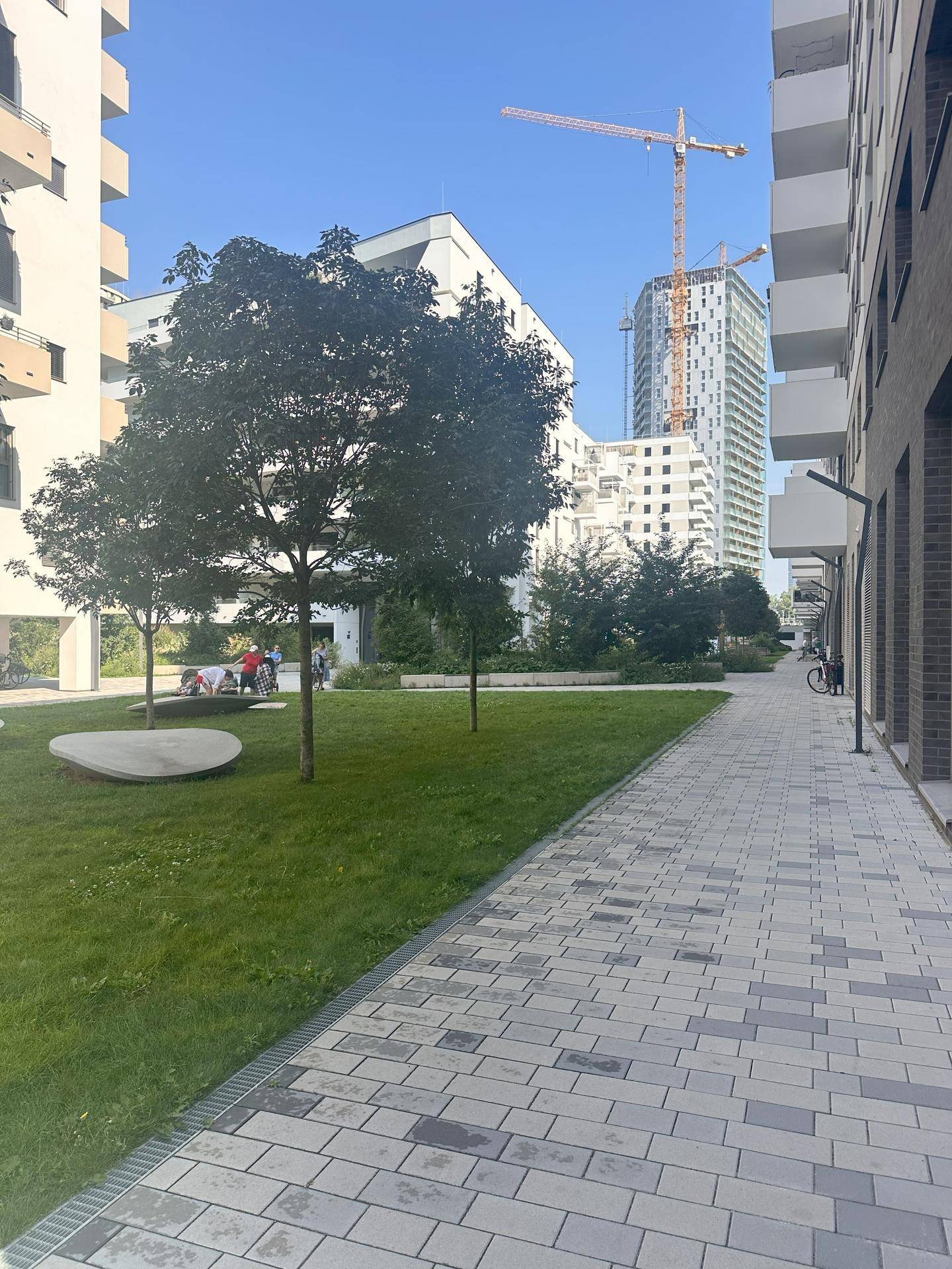 Gepflegte Rasenfläche mit Bäumen und einem gepflasterten Weg, umgeben von modernen Wohngebäuden.