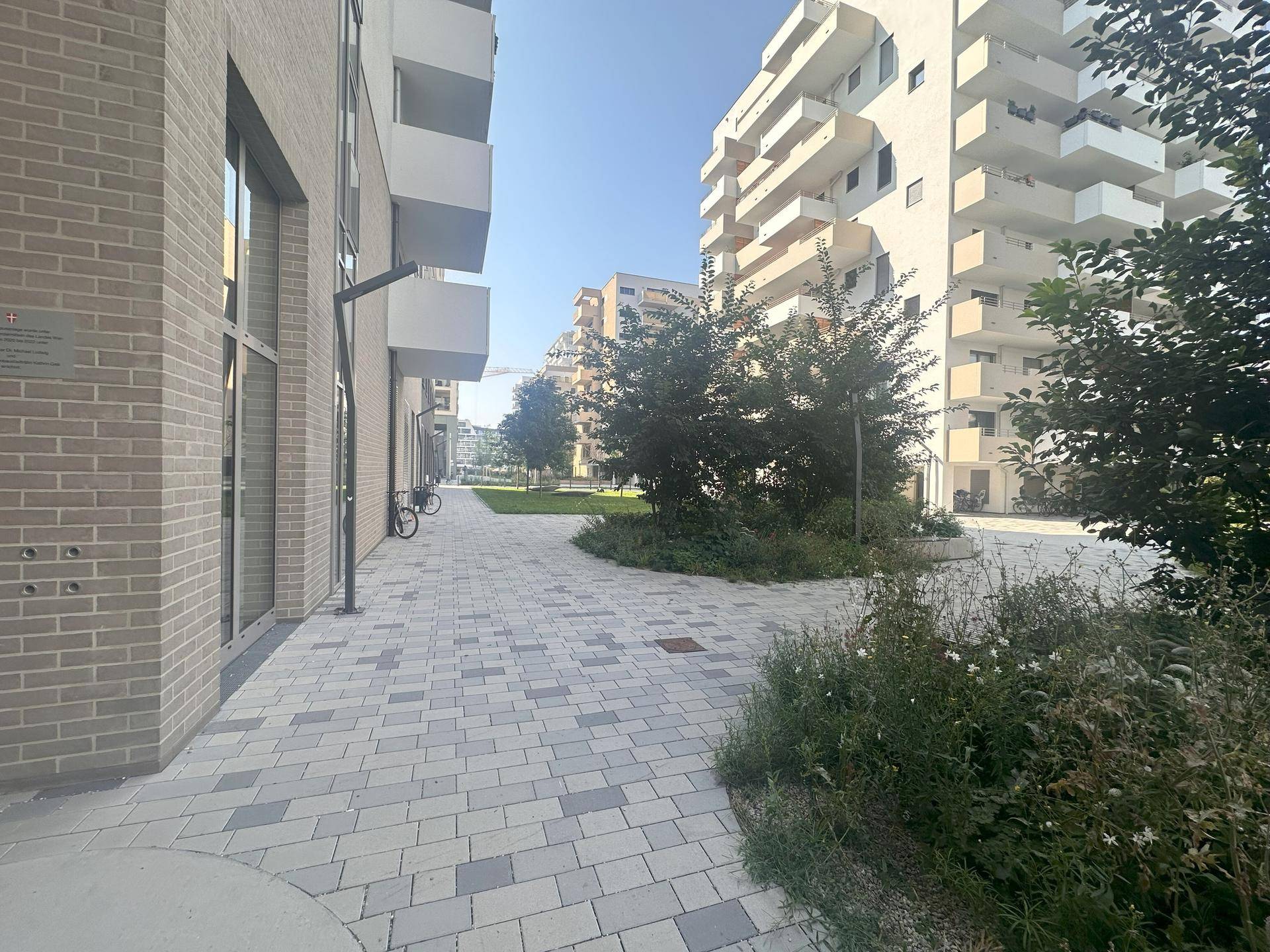 Geschwungener gepflasterter Weg durch eine grüne Anlage, umgeben von modernen Wohngebäuden und Bäumen.