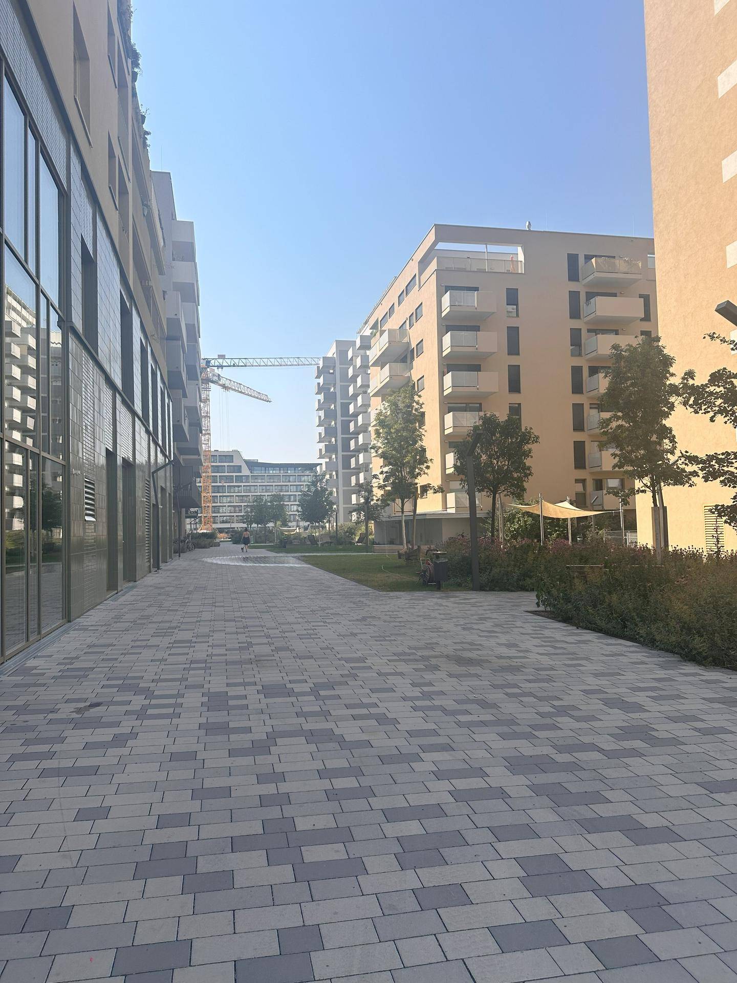 Gepflasterter Weg zwischen modernen Gebäuden, mit Grünflächen und Bäumen, im Hintergrund ein Baukran.