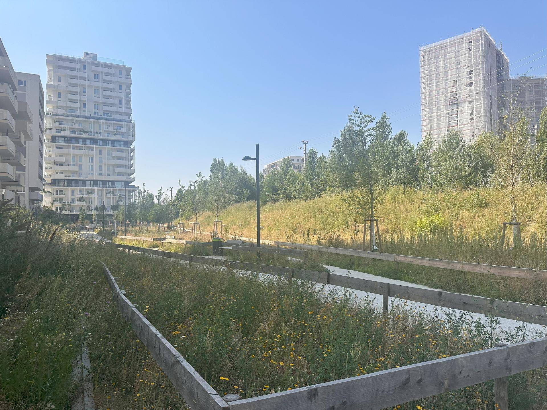 Angelegte Grünfläche mit Wegen und hohen modernen Gebäuden im Hintergrund unter blauem Himmel.