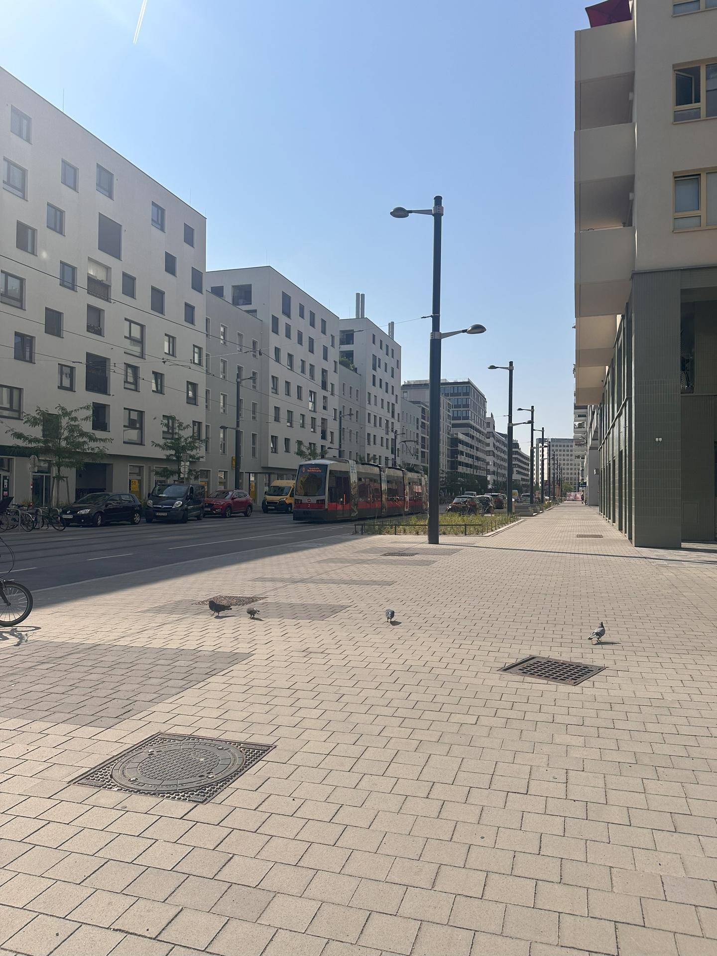 Urbane Straßenszene mit einer Straßenbahn, modernen Gebäuden und Tauben auf dem gepflasterten Gehweg.