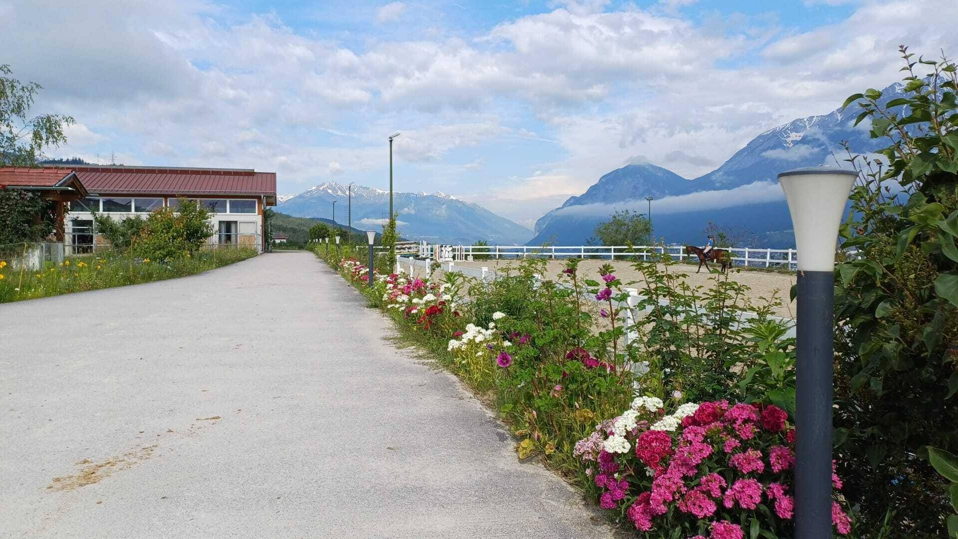 Zufahrtsweg zum Anwesen mit blühenden Blumenbeeten und Blick auf den Reitplatz und die Berge.