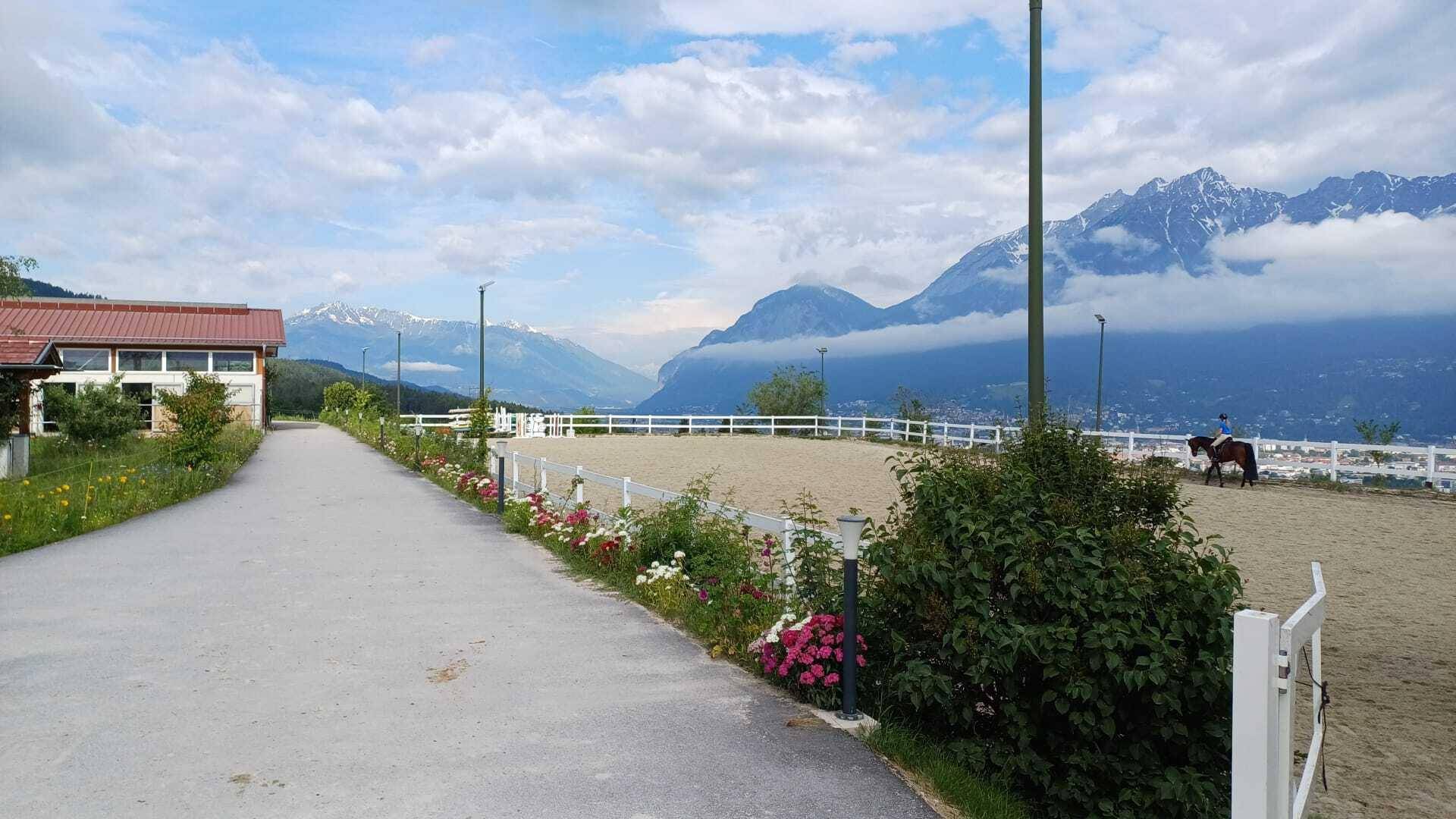 Zufahrtsweg zum Anwesen mit blühenden Blumenbeeten und Blick auf den Reitplatz und die Berge.