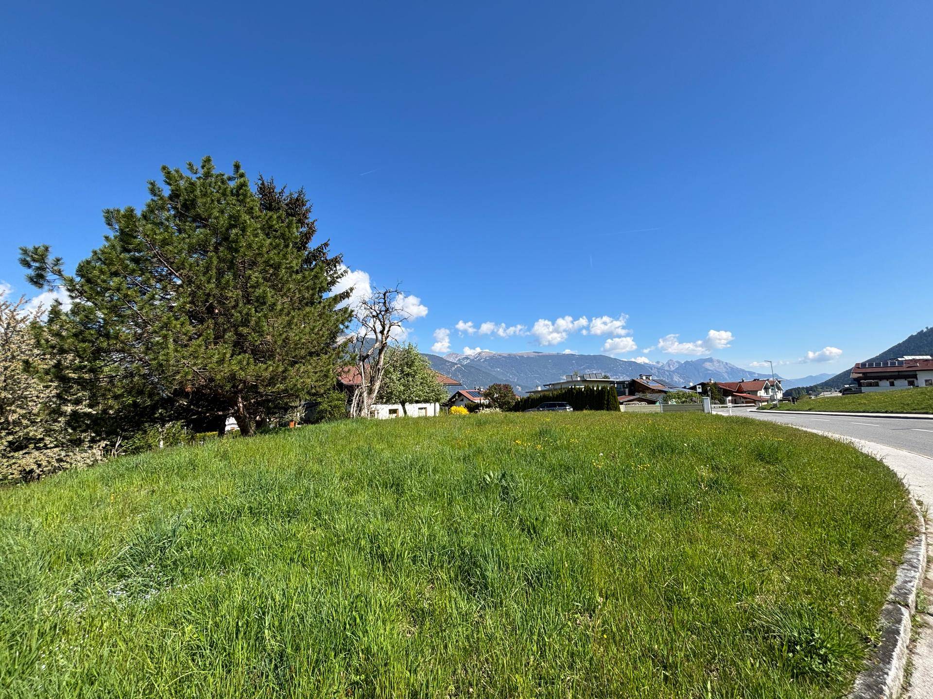 Grüne Wiese mit einem großen Baum und Häusern im Hintergrund unter blauem Himmel und Bergen.
