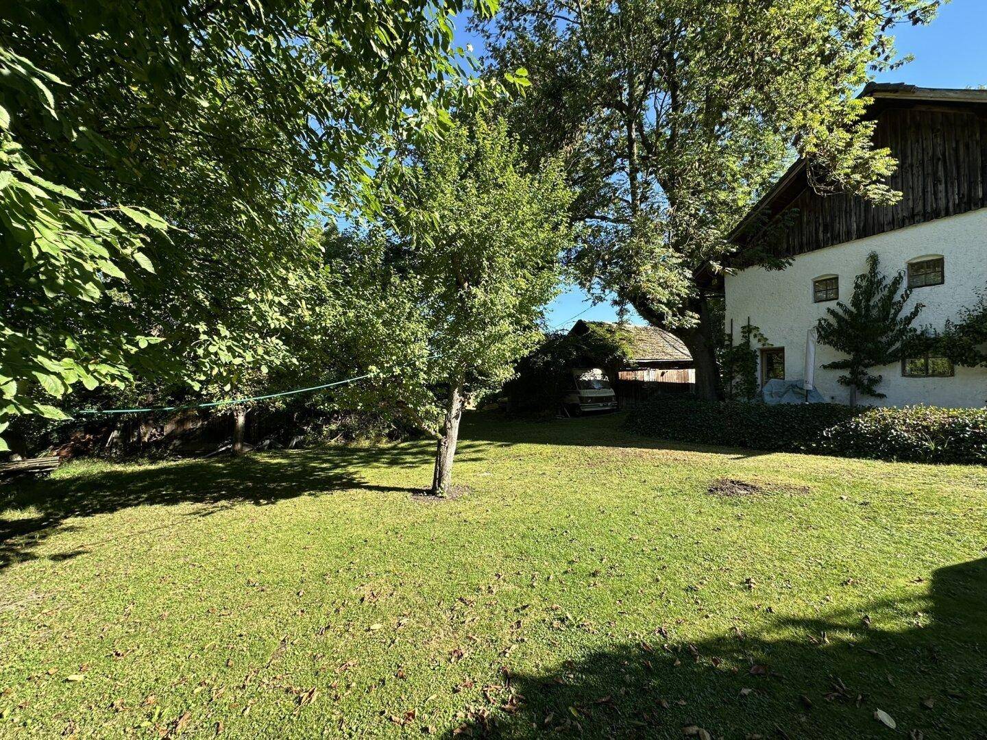 Gepflegter grüner Rasen vor einem traditionellen Haus mit Bäumen und viel Sonnenlicht.