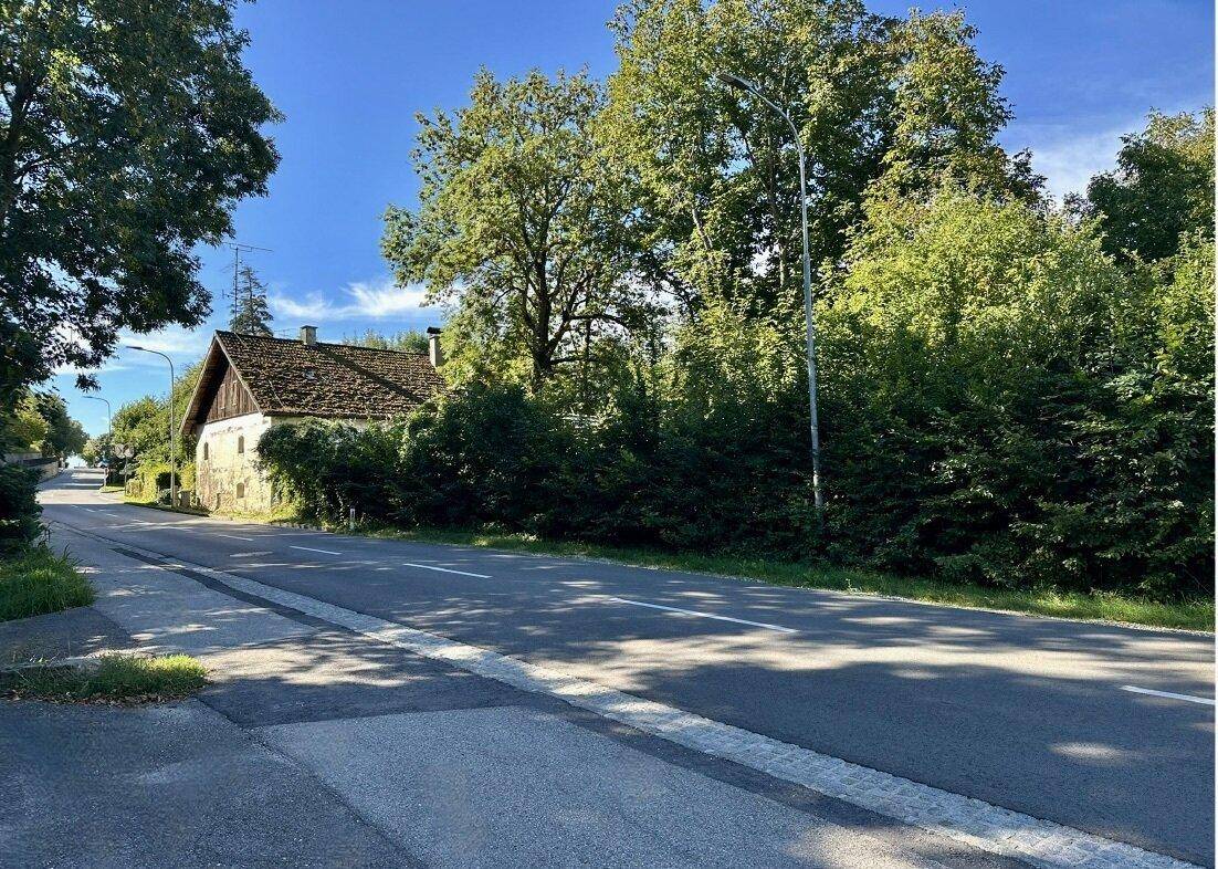 Landstraße mit einem traditionellen Haus, umgeben von Bäumen und Büschen, unter blauem Himmel.