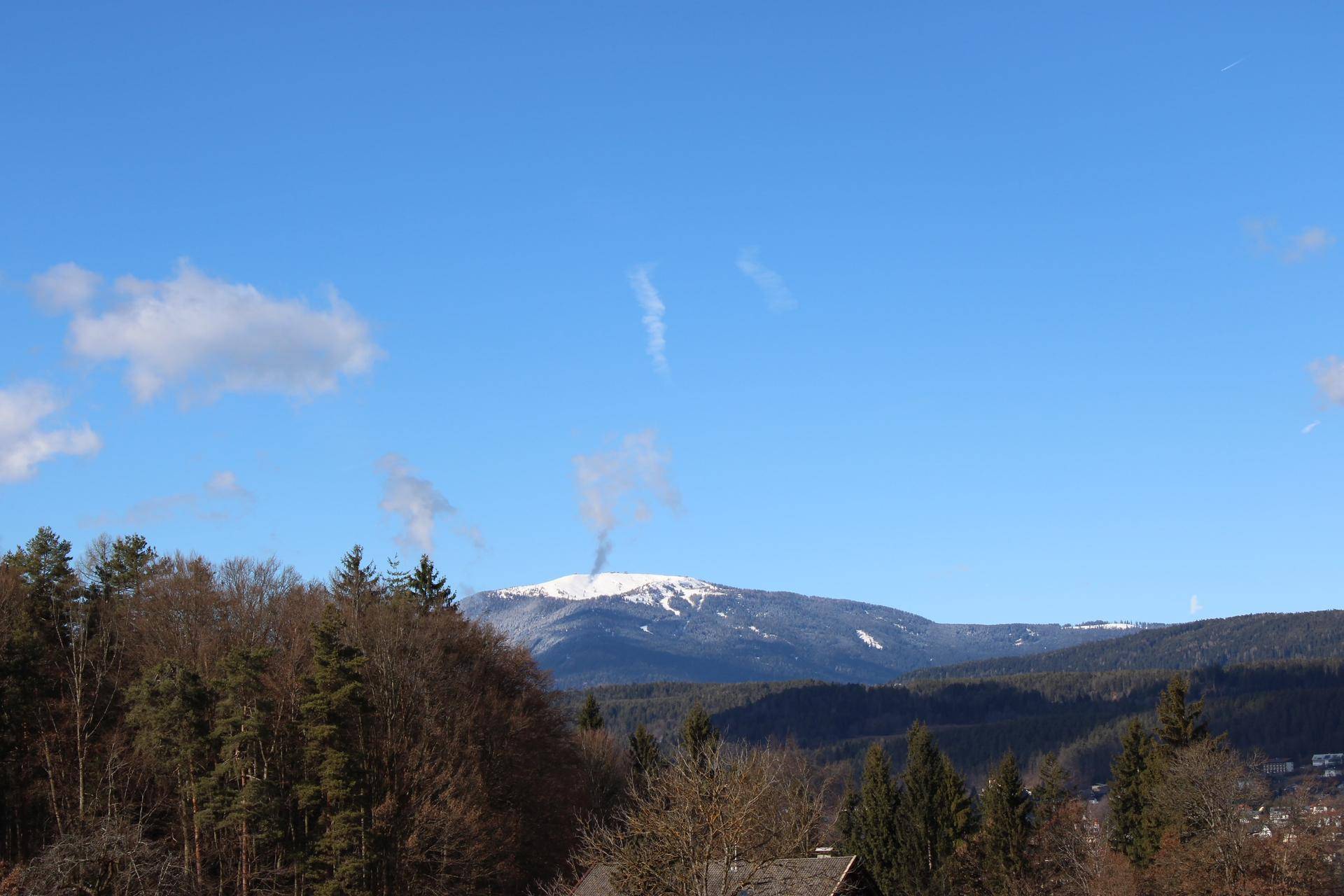 Malerischer Blick auf schneebedeckte Berge und bewaldete Hügel unter blauem Himmel.