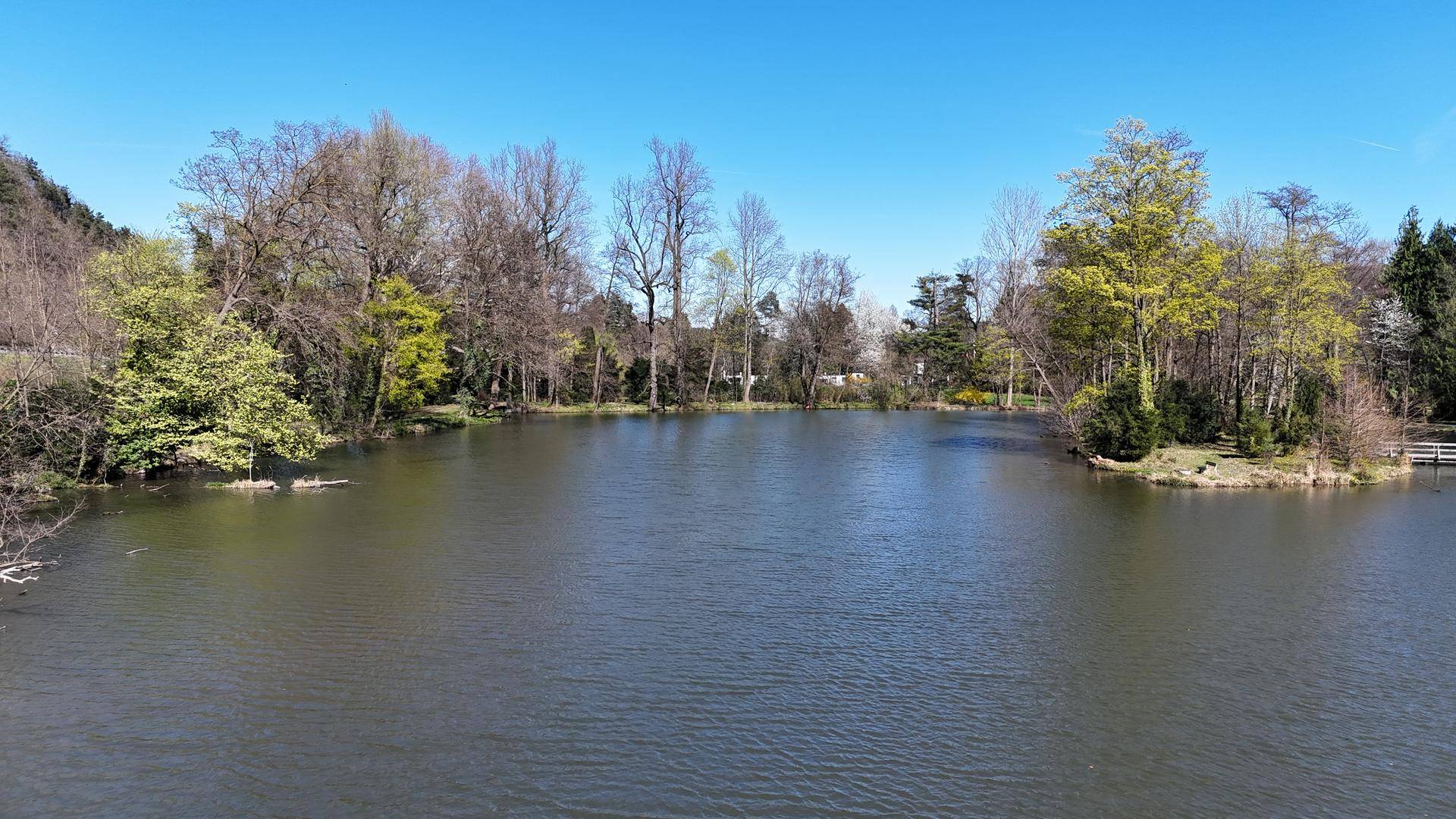 Ruhiger See umgeben von üppiger Vegetation und Bäumen unter blauem Himmel.