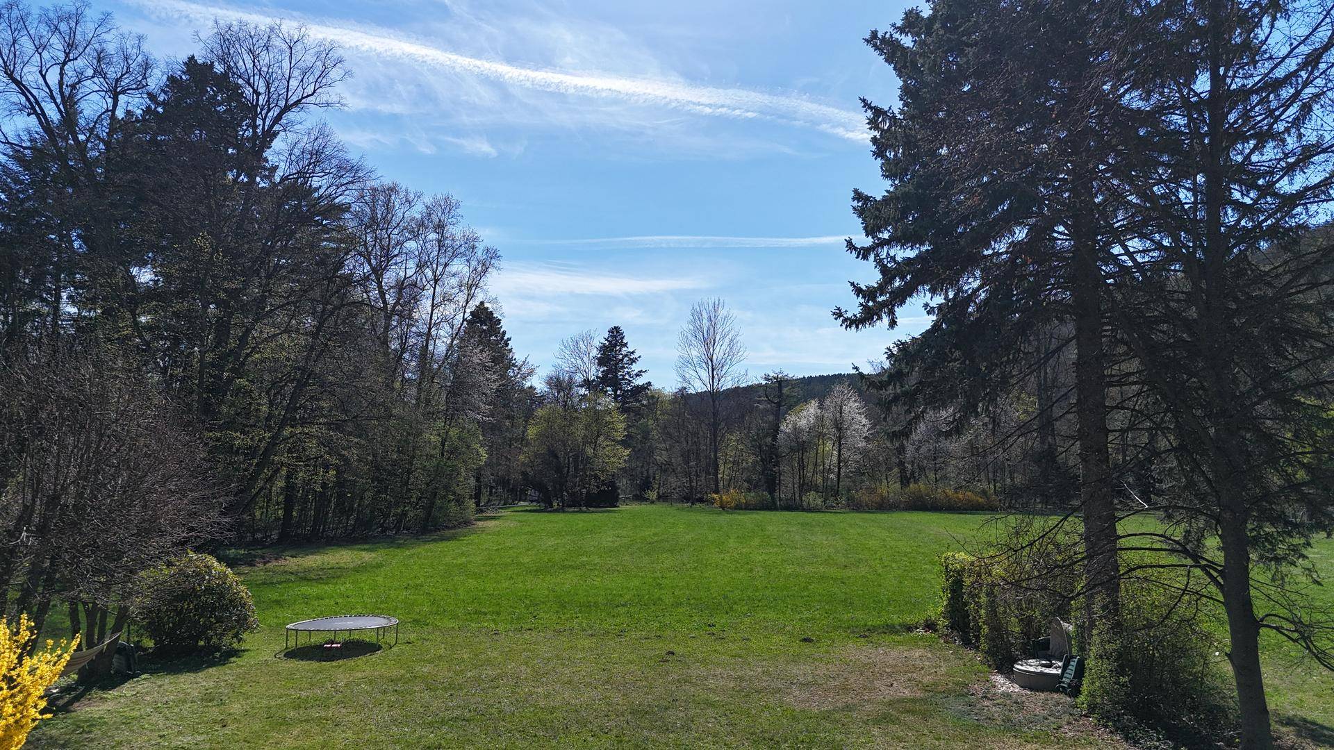 Weitläufige Rasenfläche mit Bäumen und einem Trampolin unter einem klaren blauen Himmel.
