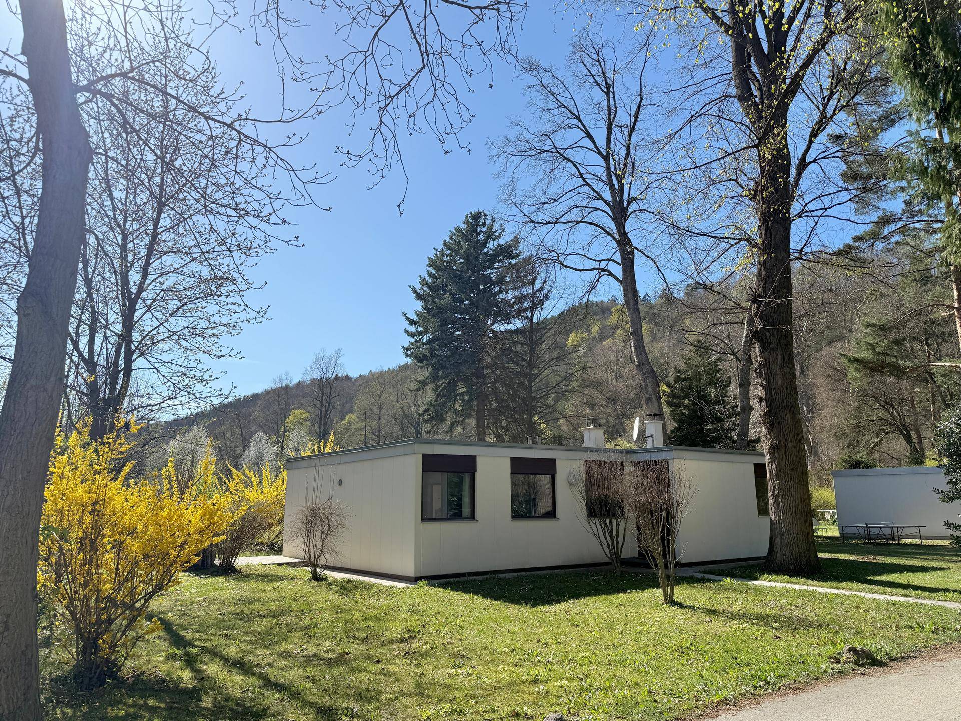Ansicht eines eingeschossigen Hauses mit Flachdach, umgeben von Rasen und blühenden Sträuchern.