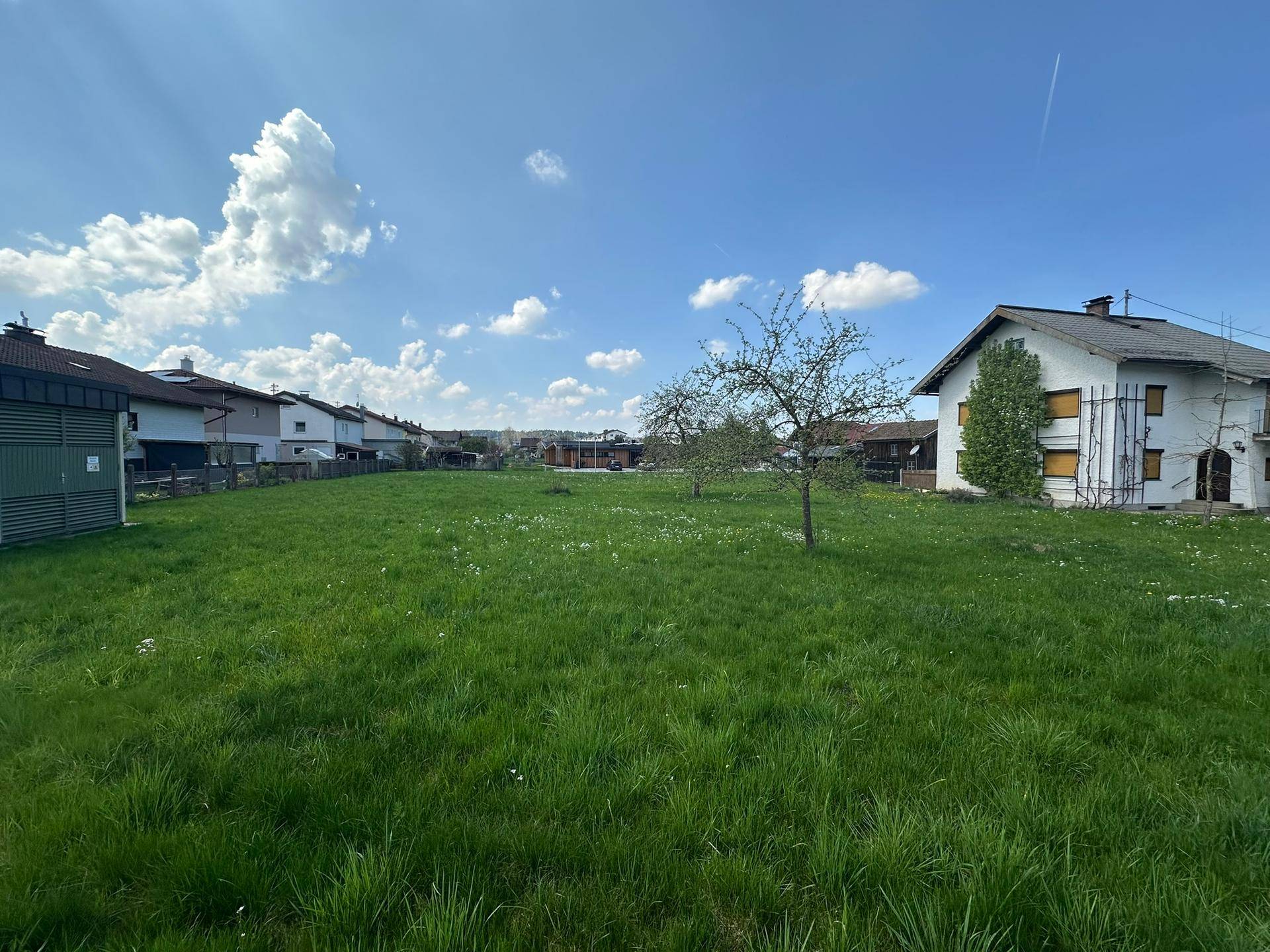 Weitläufige grüne Wiese mit einzelnen Bäumen und umliegenden Wohnhäusern unter klarem Himmel.