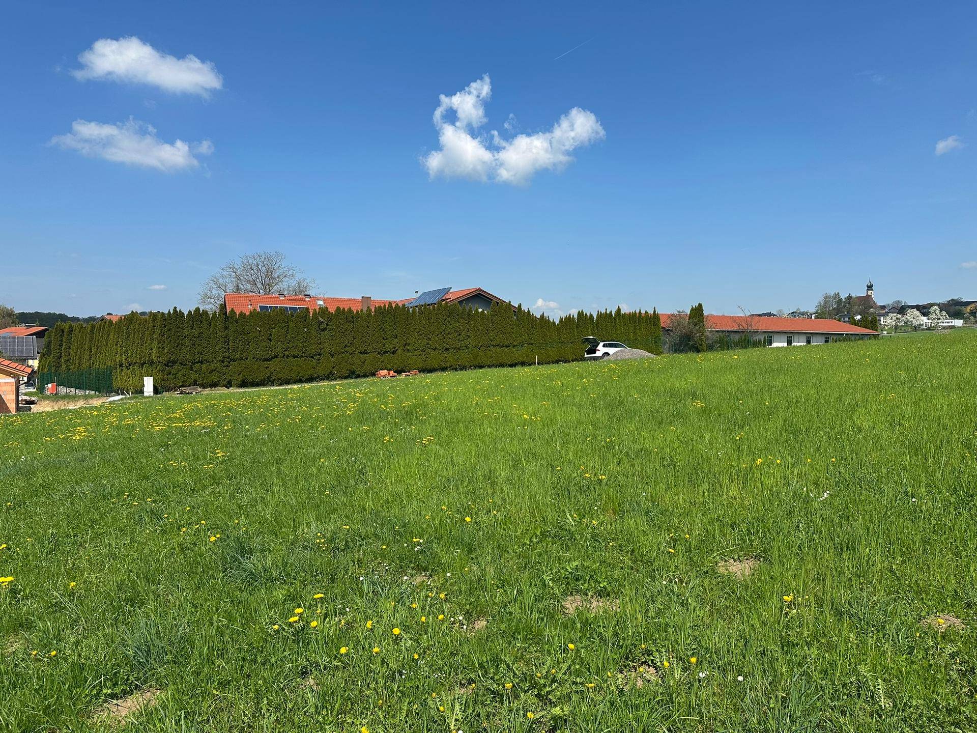 Grüne Wiesenfläche mit Häusern hinter einer hohen Hecke und einem Dorf in der Ferne.