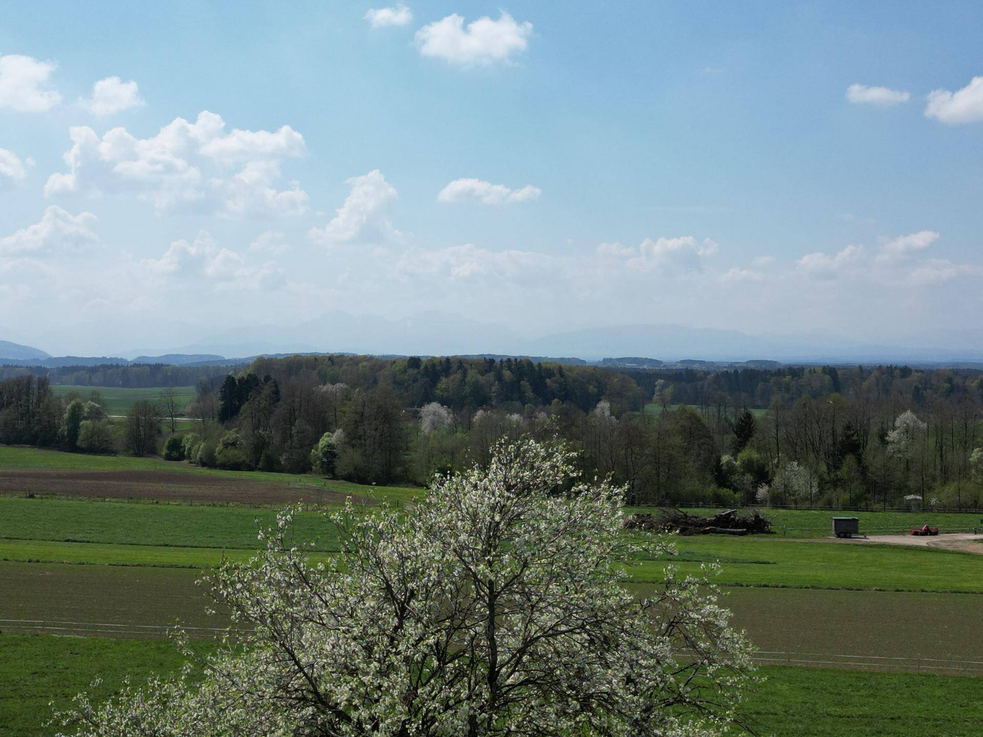 Panoramablick über weite Felder und Wälder mit einer Bergkette am fernen Horizont.