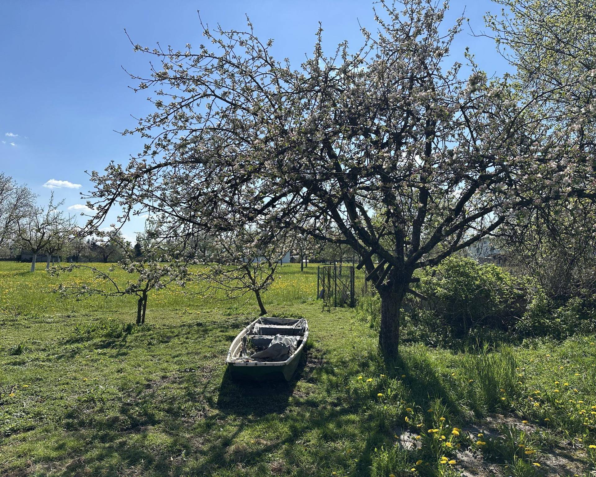 Großer Gartenbereich mit blühenden Obstbäumen, grüner Wiese und einem kleinen Boot im Frühling.