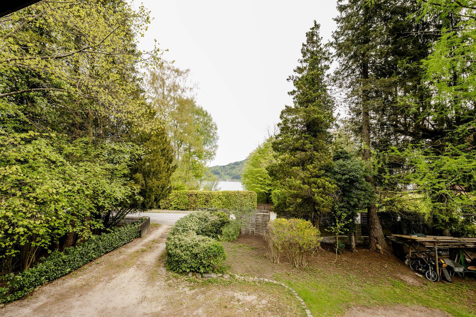 Malerische Aussicht auf einen See, umgeben von üppiger grüner Vegetation und Bäumen.