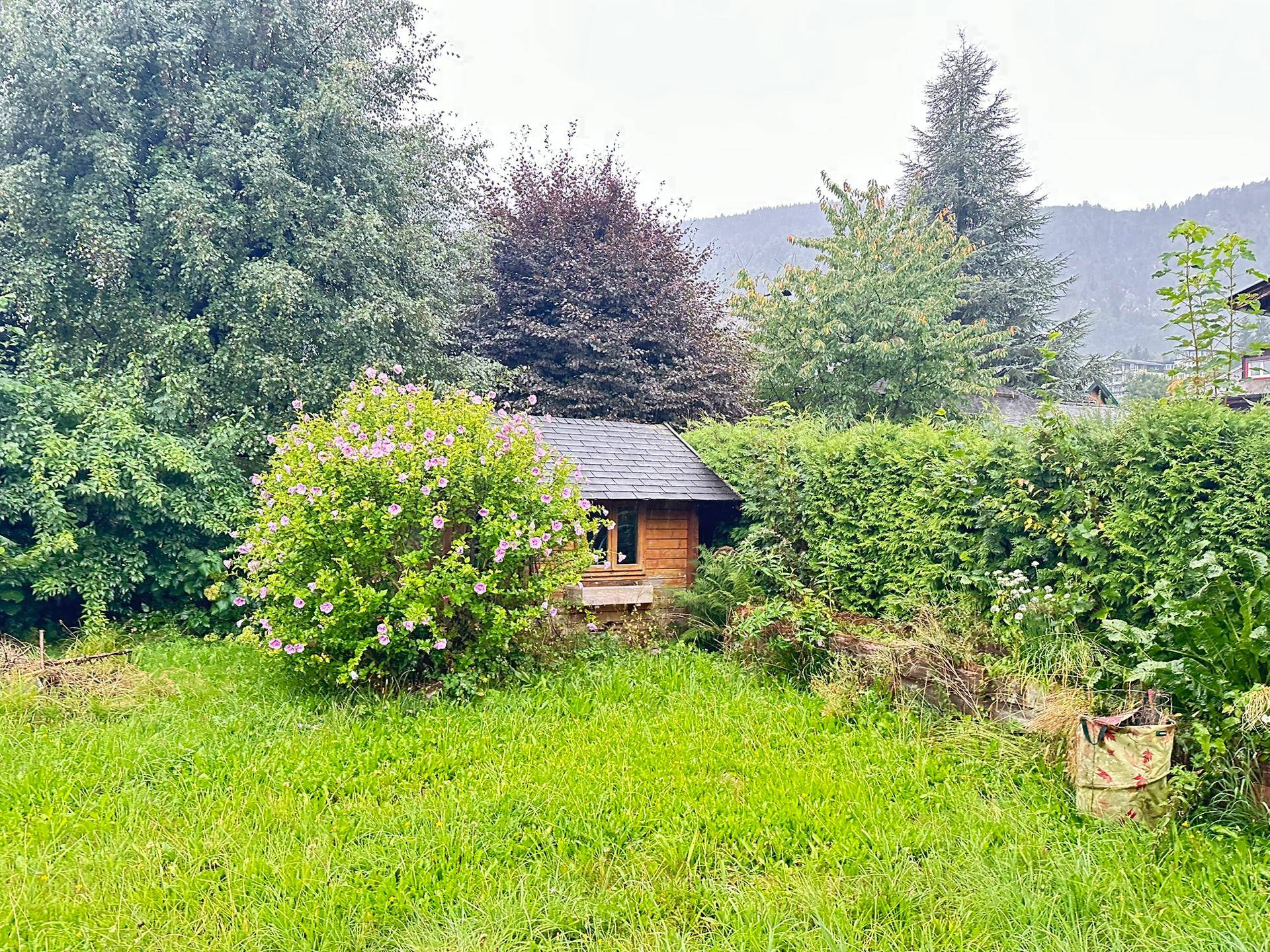 Idyllischer Gartenbereich mit Rasen, üppigem Grün und einem kleinen Holzschuppen.