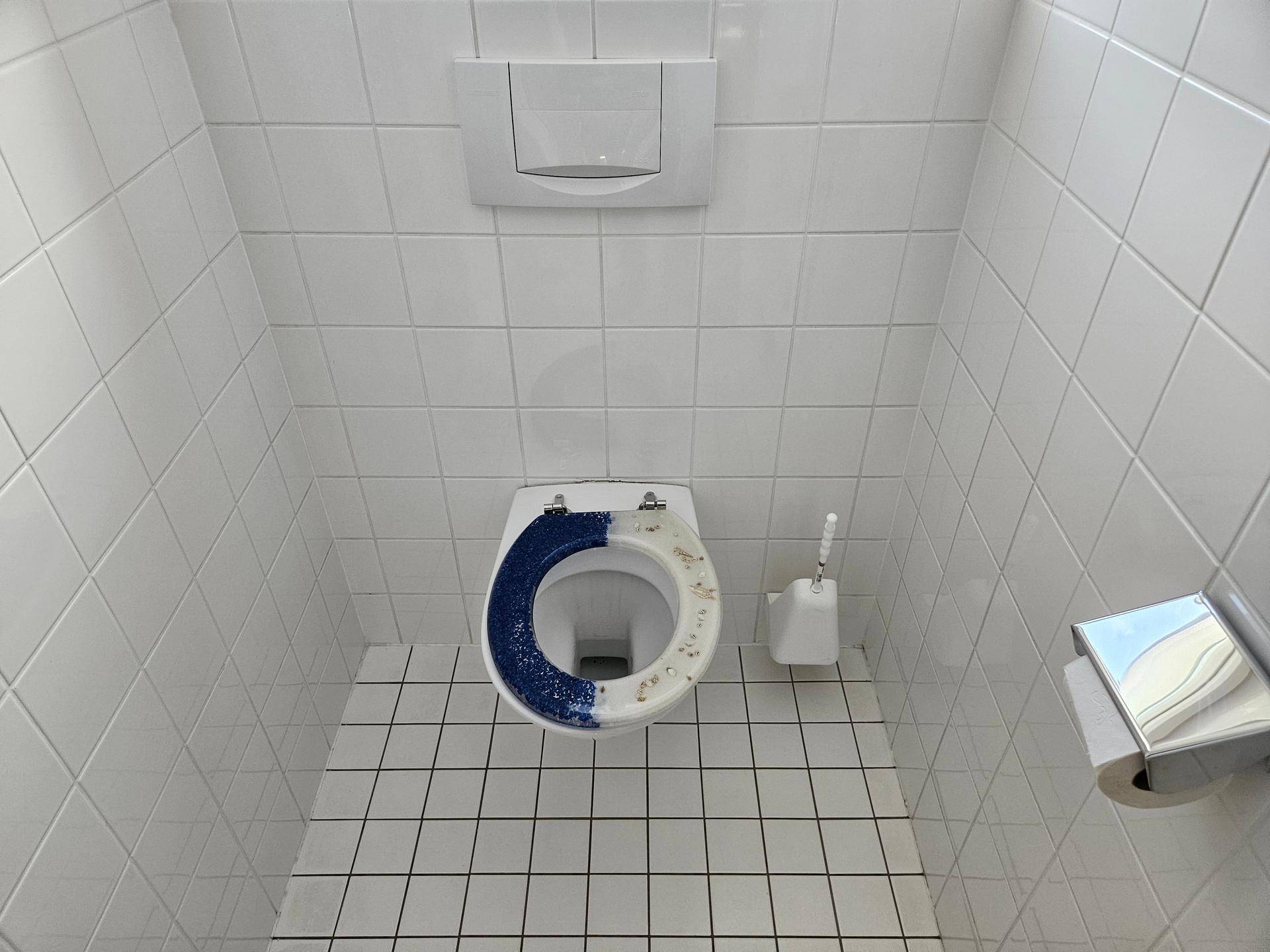 Kleines WC mit weißen Fliesen an Wänden und Boden, ausgestattet mit einer Toilette.