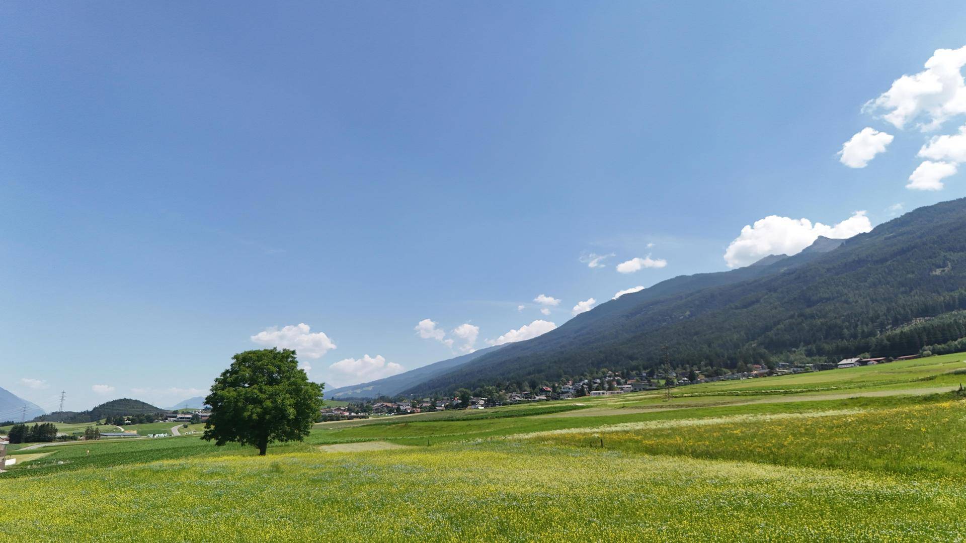 Weite grüne Felder mit einem einzelnen Baum und einem Dorf am Fuße einer bewaldeten Bergkette.
