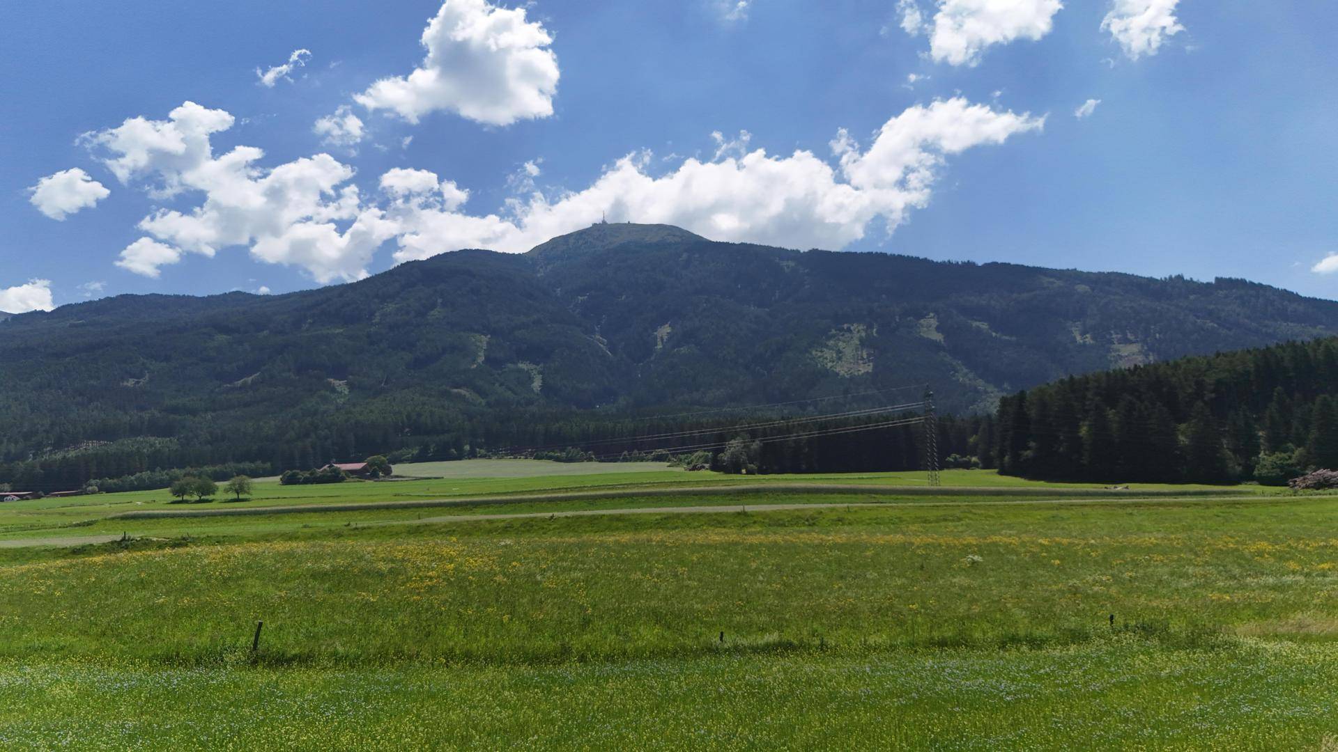 Ausgedehnte grüne Wiesenflächen vor einem dichten Wald und einem bewaldeten Berg im Hintergrund.