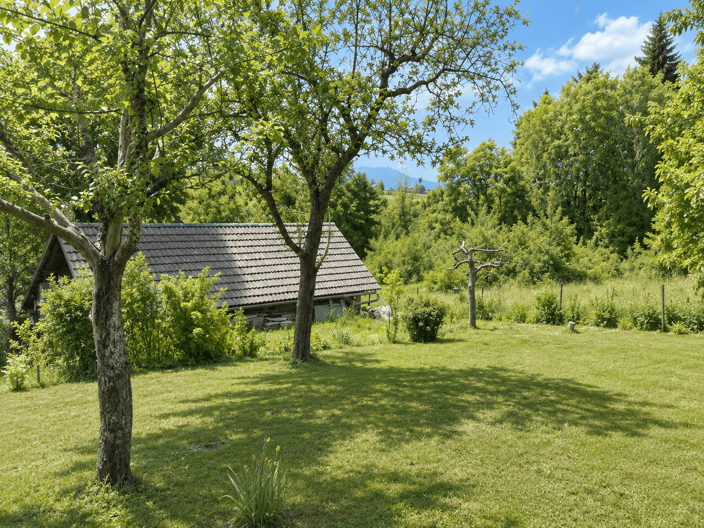 Großer, gepflegter Garten mit Obstbäumen und weitem Blick in die Landschaft.