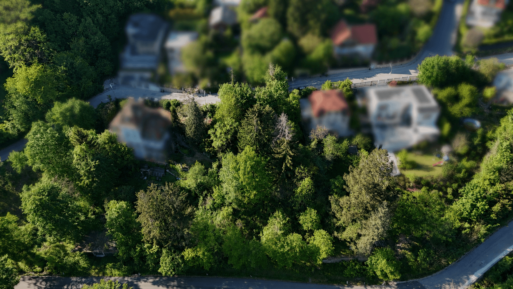 Luftaufnahme einer grünen Wohngegend mit Häusern und Straßen, teilweise unscharf.