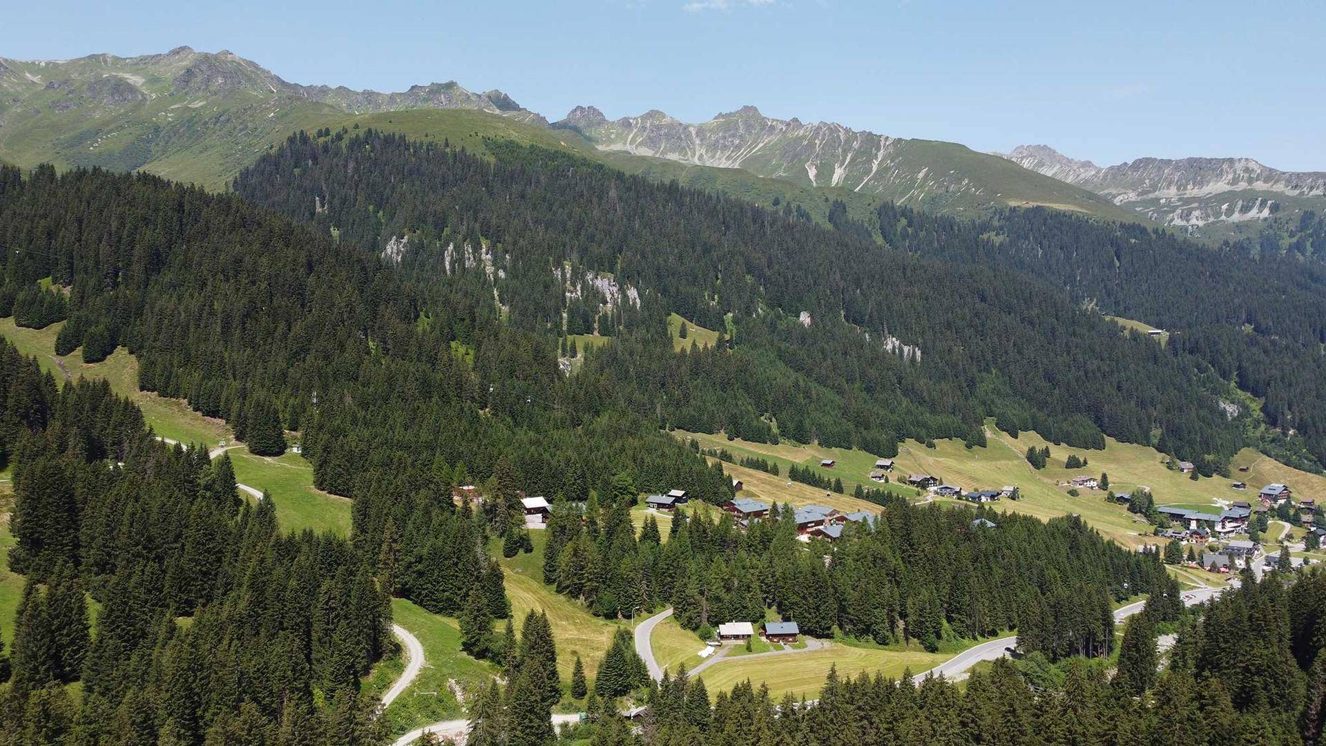 Weitläufige Berglandschaft mit dichten Wäldern und kleinen Siedlungen im Tal.