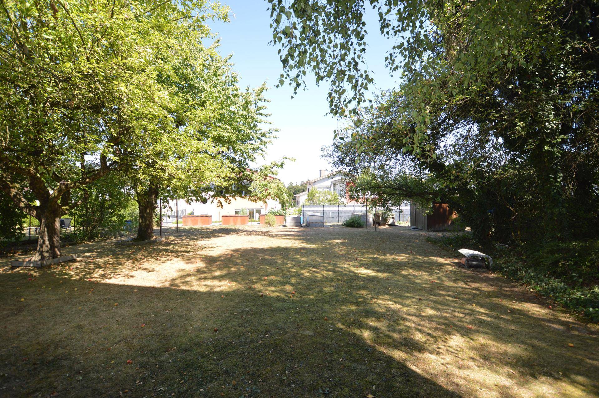 Weitläufiger Gartenbereich mit gepflegtem Rasen, umgeben von hohen Bäumen und Sträuchern.